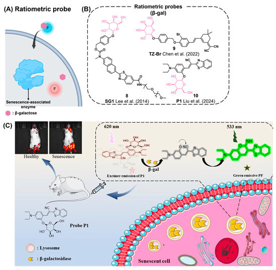 Chemosensors 12 00141 g004