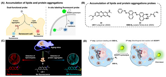 Chemosensors 12 00141 g009