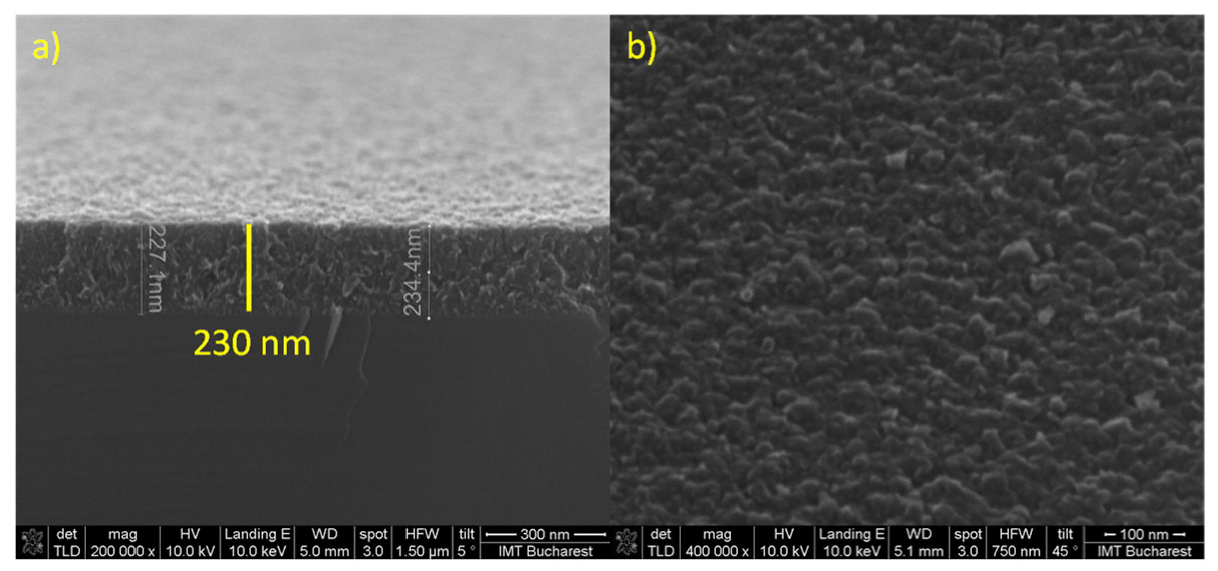 Chemosensors 12 00144 g002a