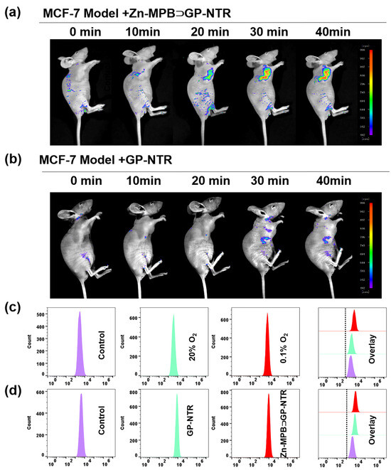 Chemosensors 12 00145 g005
