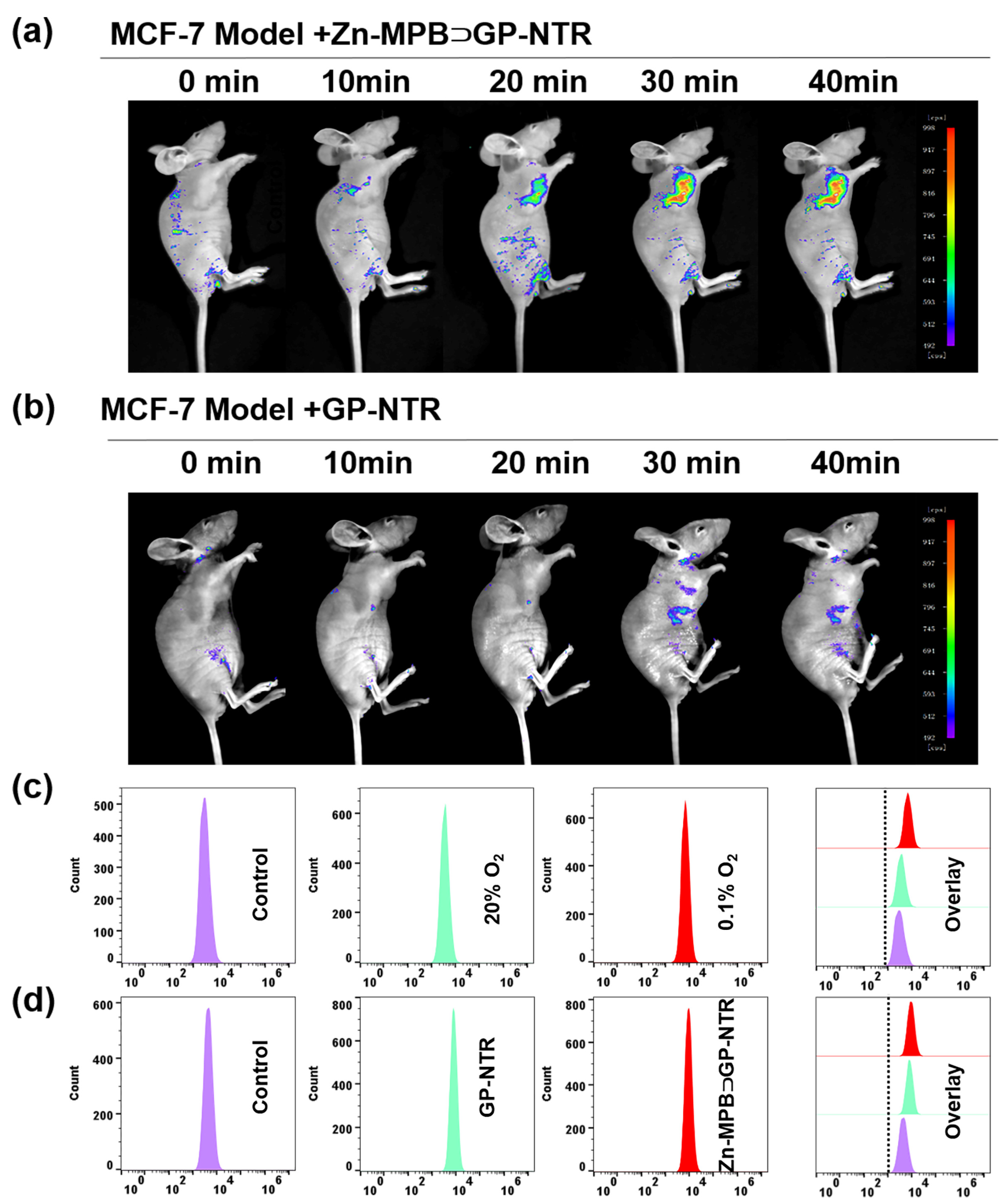 Chemosensors 12 00145 g005