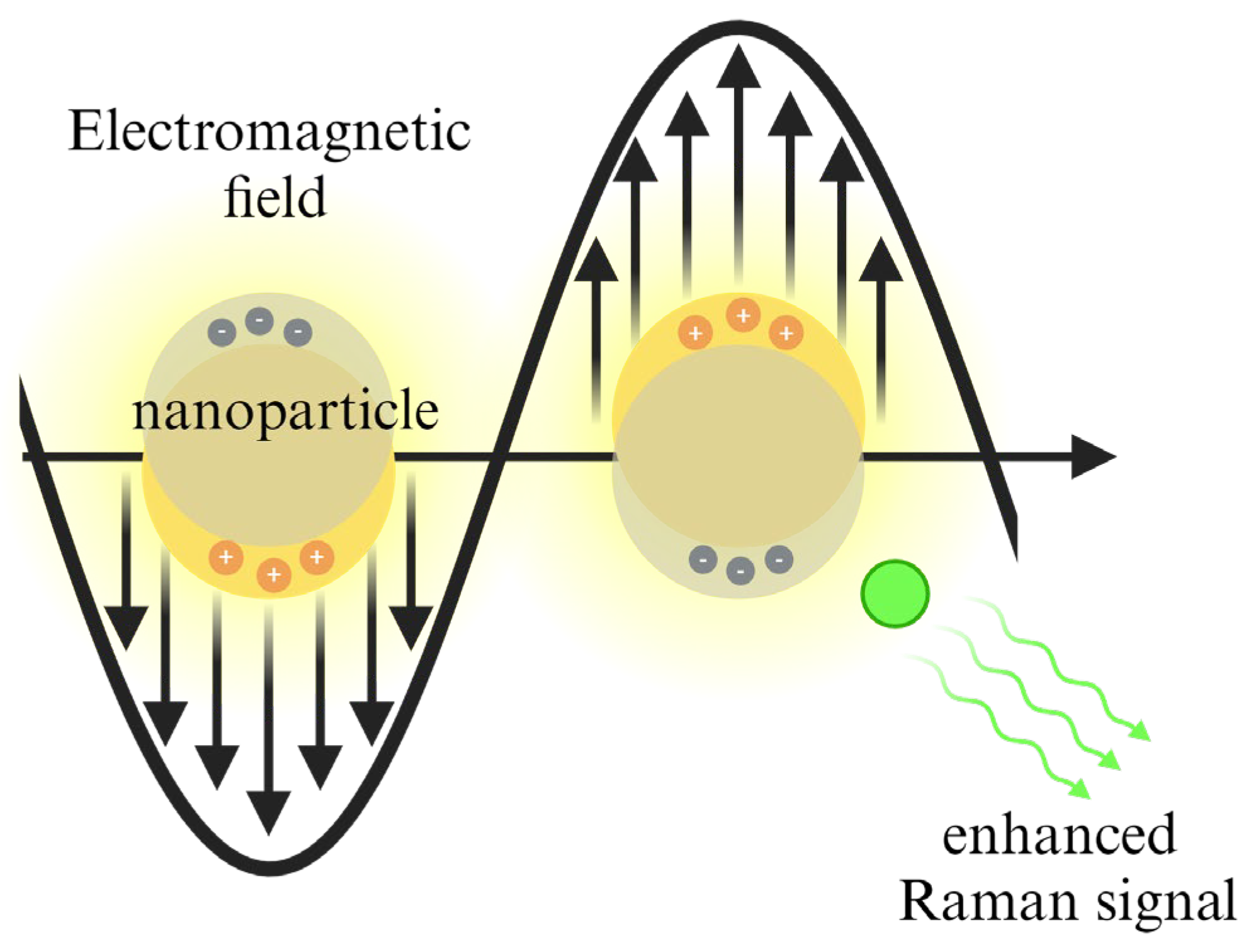 Chemosensors 12 00154 g001