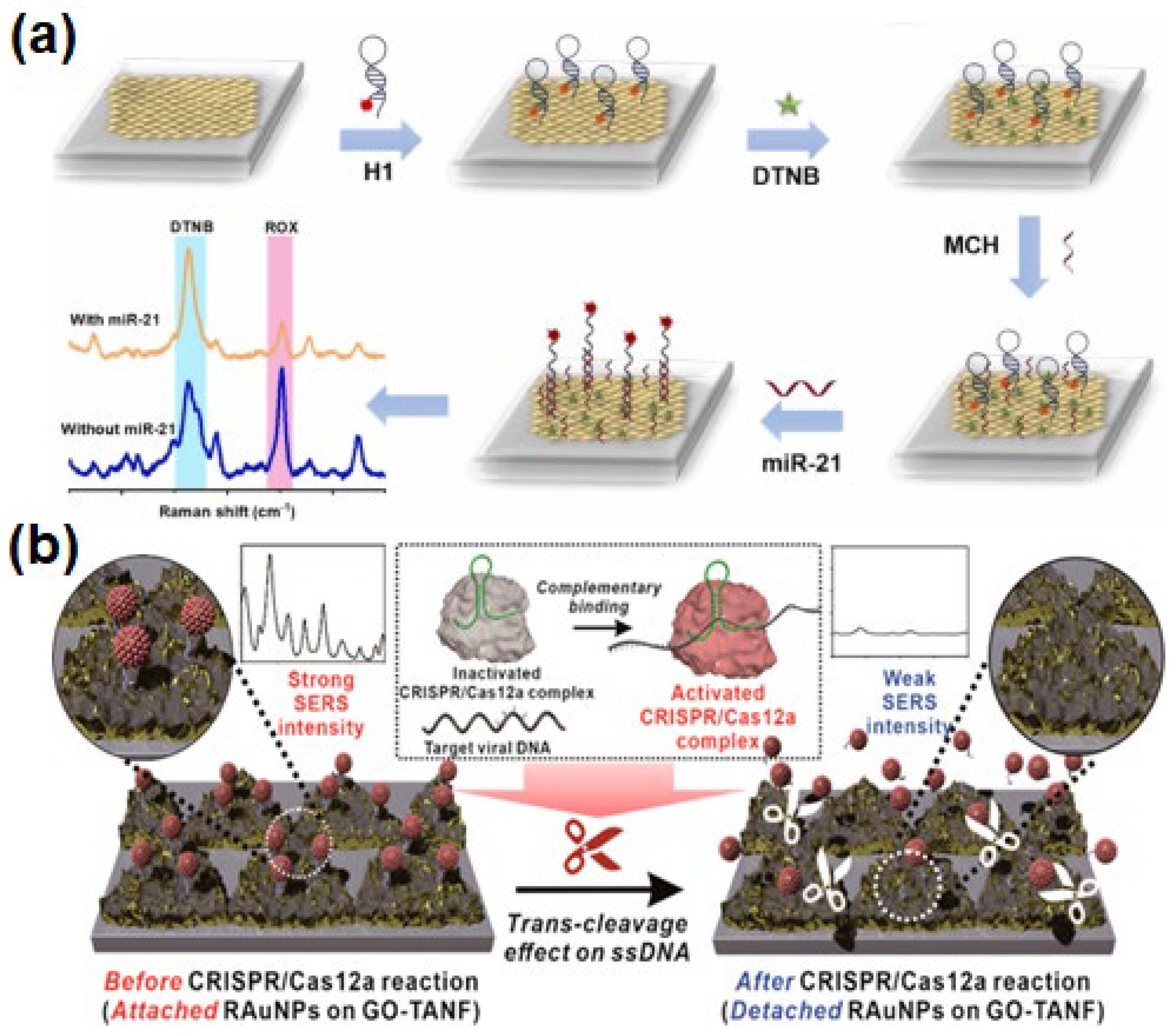 Chemosensors 12 00154 g002