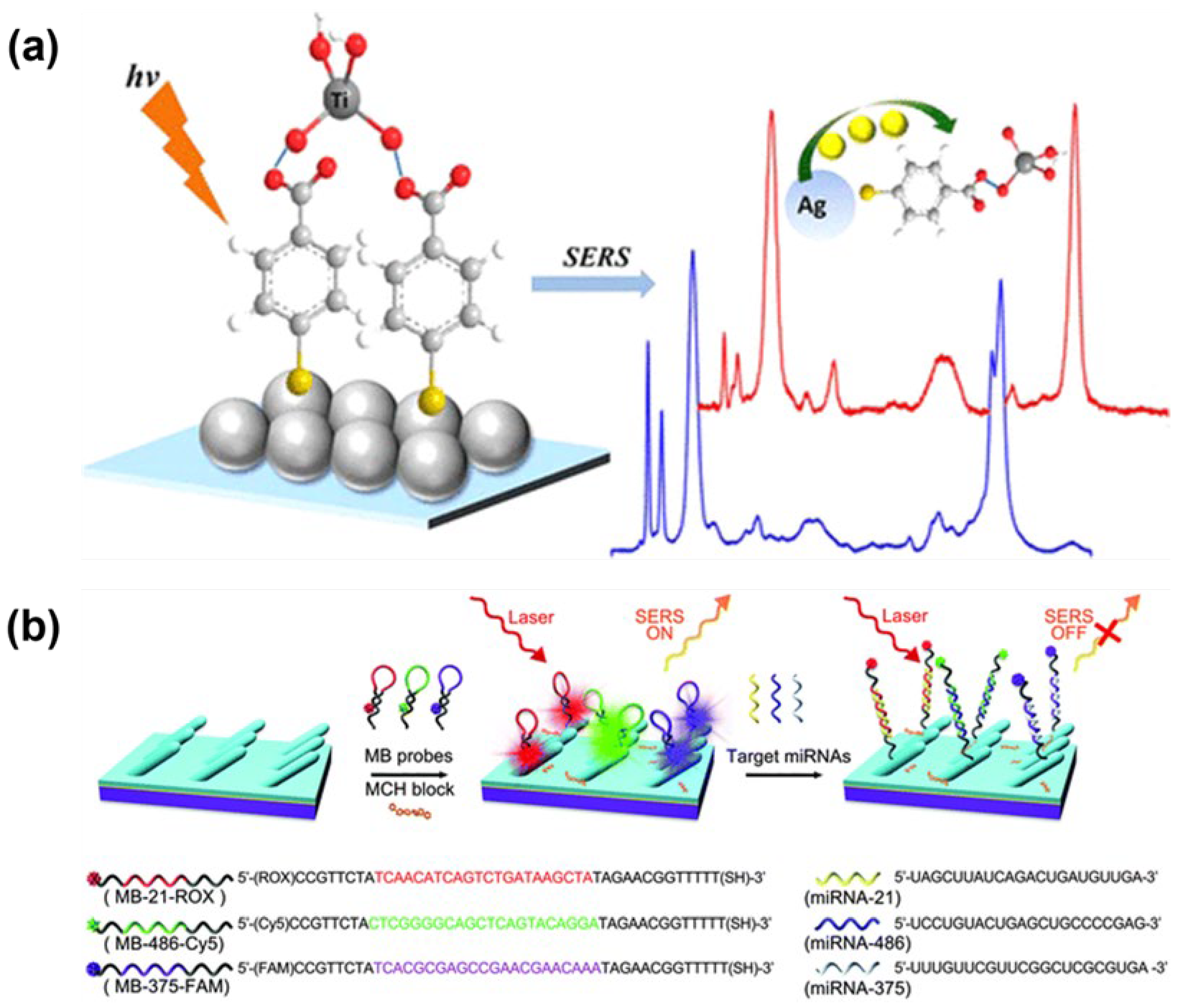 Chemosensors 12 00154 g003