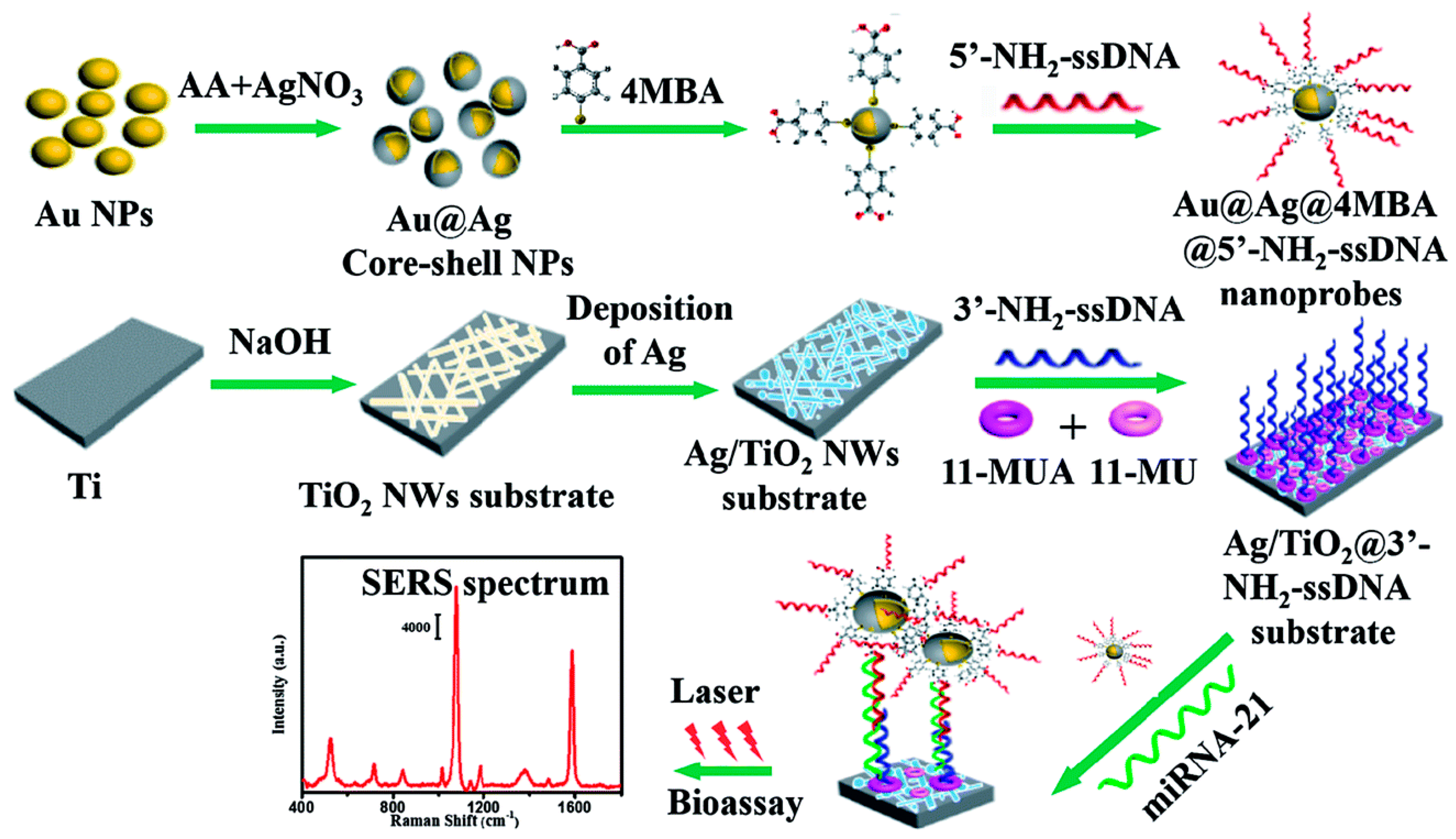Chemosensors 12 00154 g004