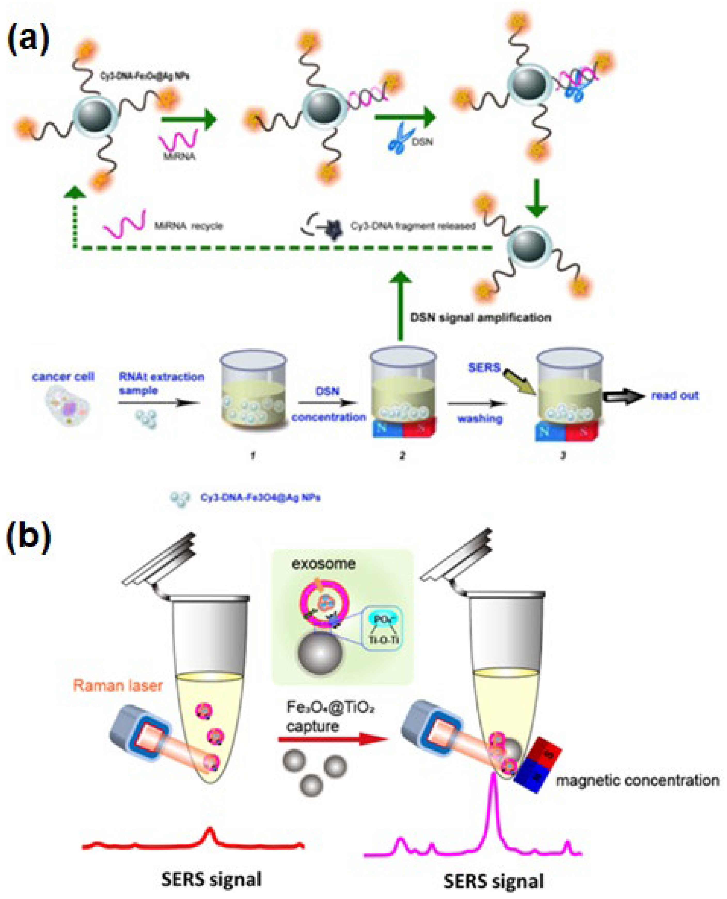 Chemosensors 12 00154 g005