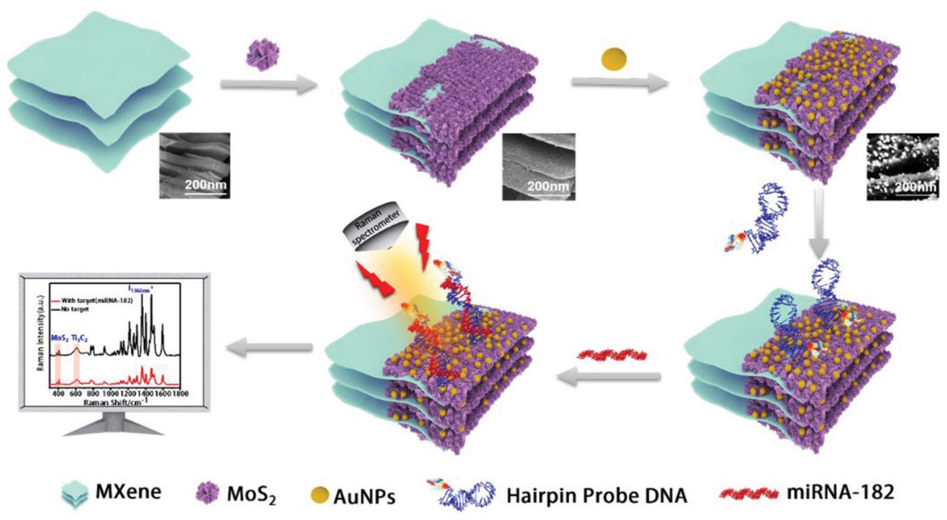 Chemosensors 12 00154 g006