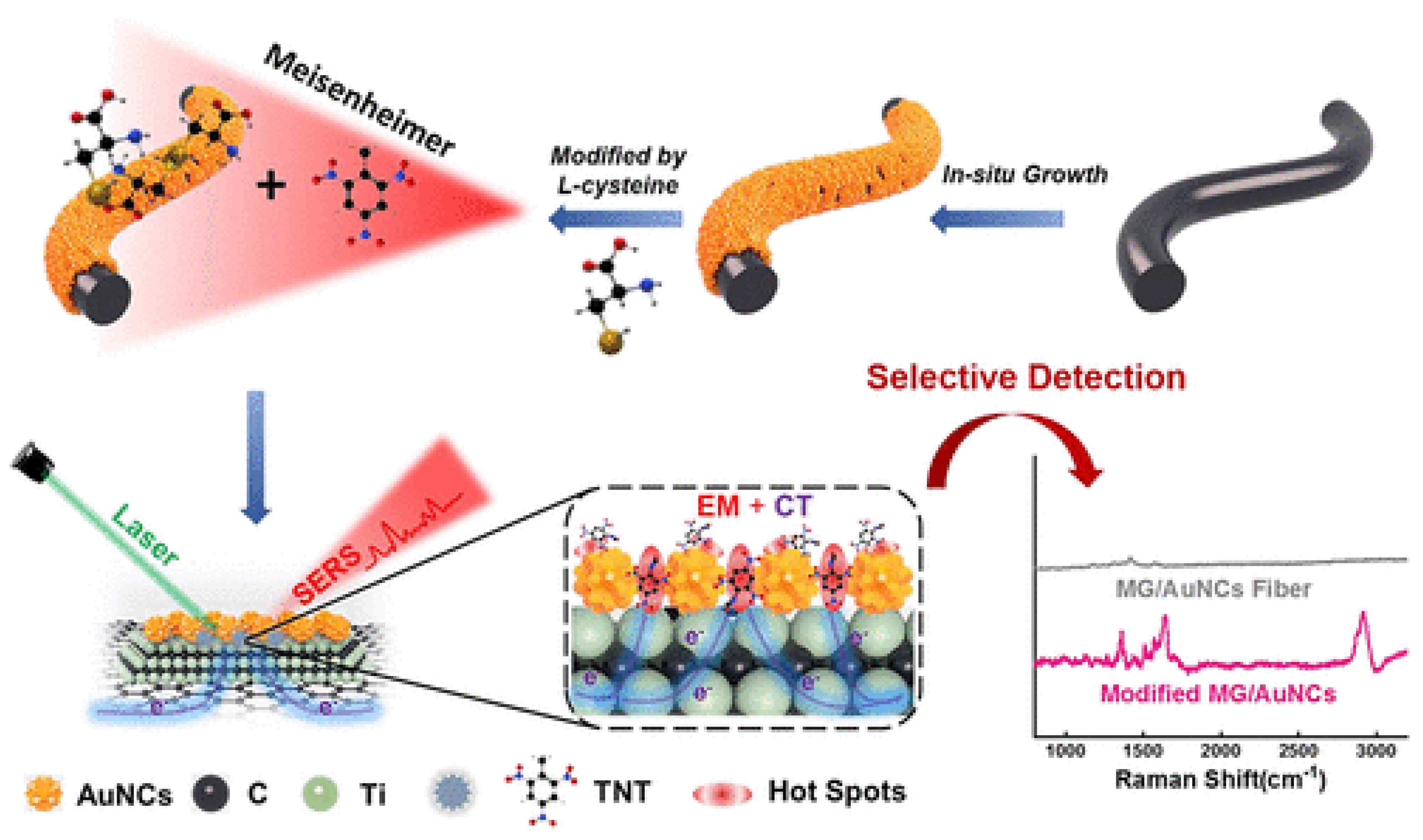 Chemosensors 12 00154 g007