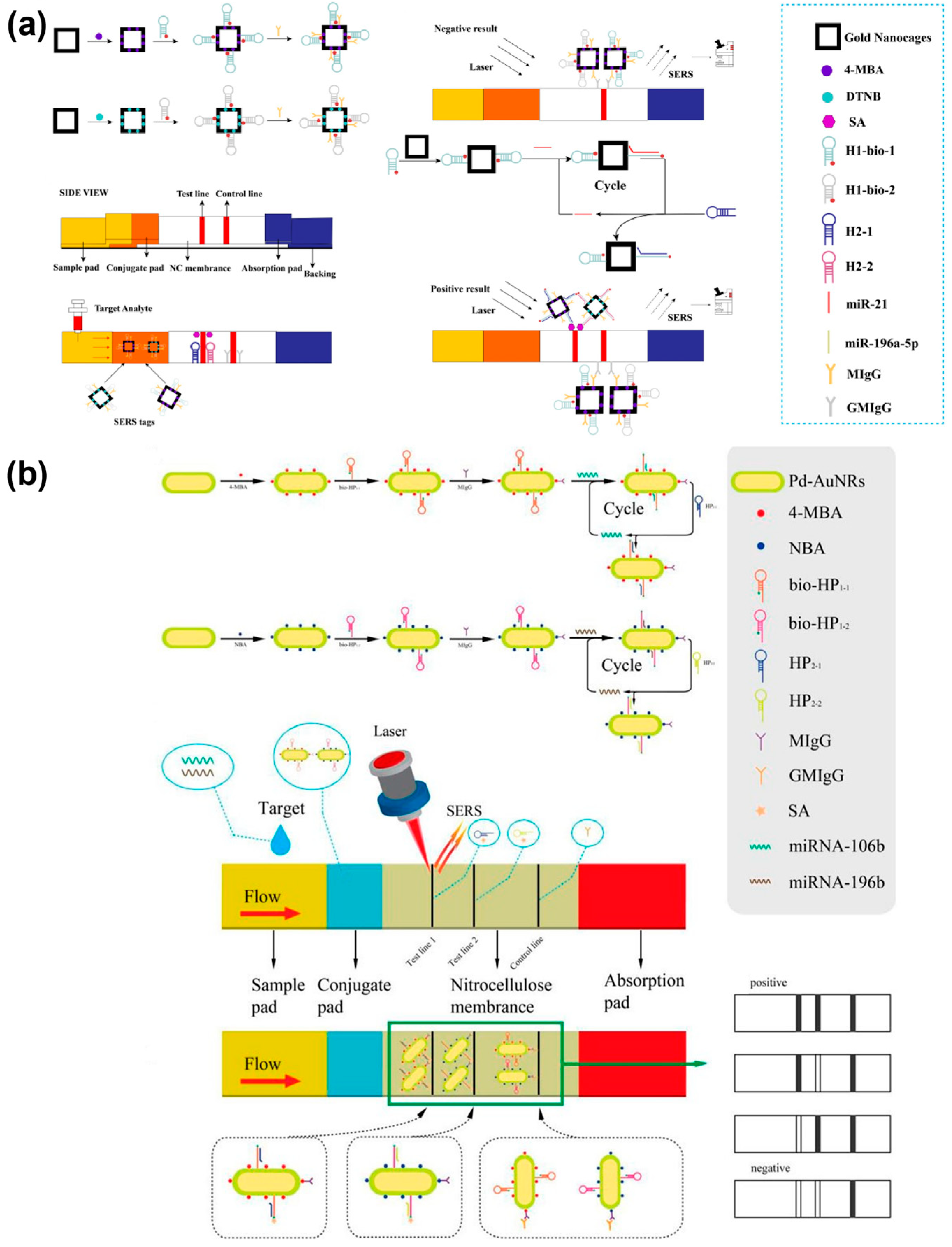Chemosensors 12 00154 g008