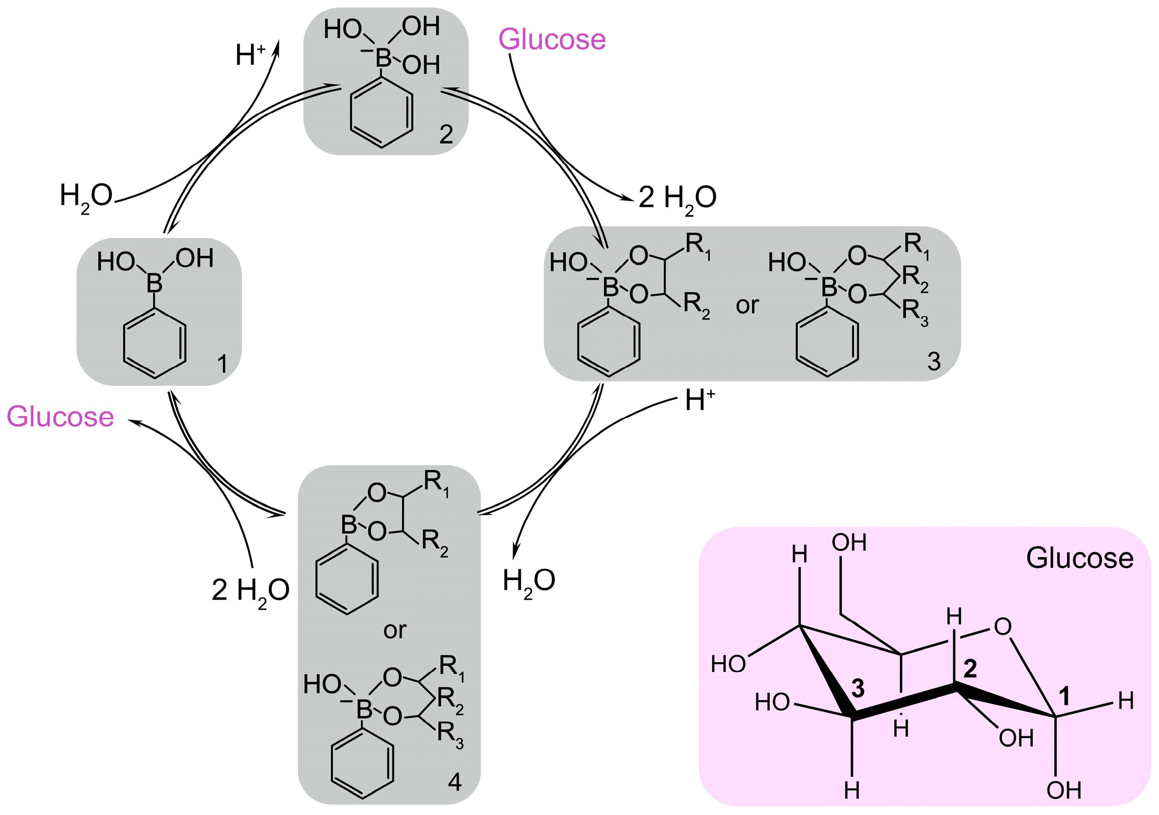 Chemosensors 12 00159 g006