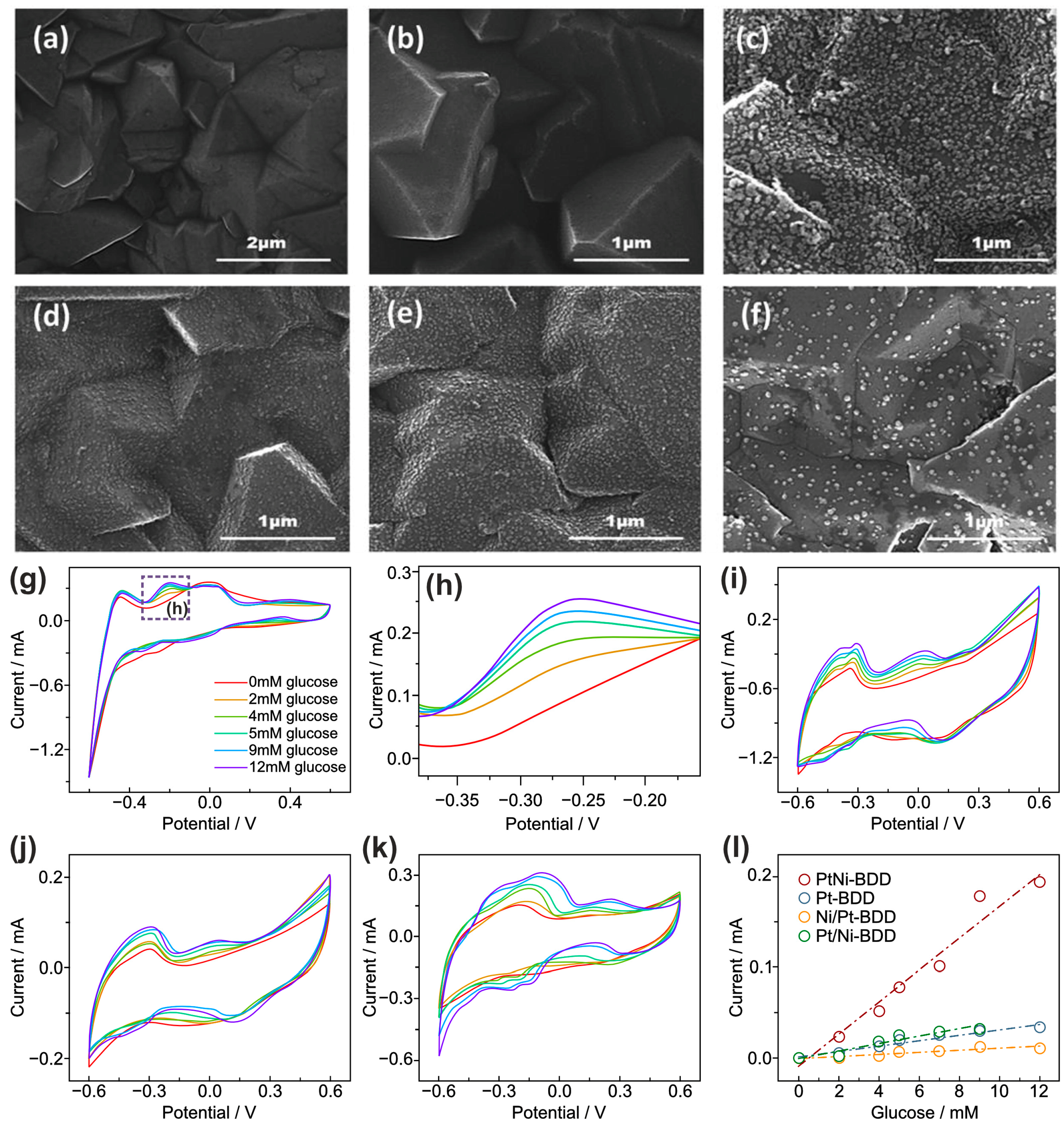 Chemosensors 12 00159 g007