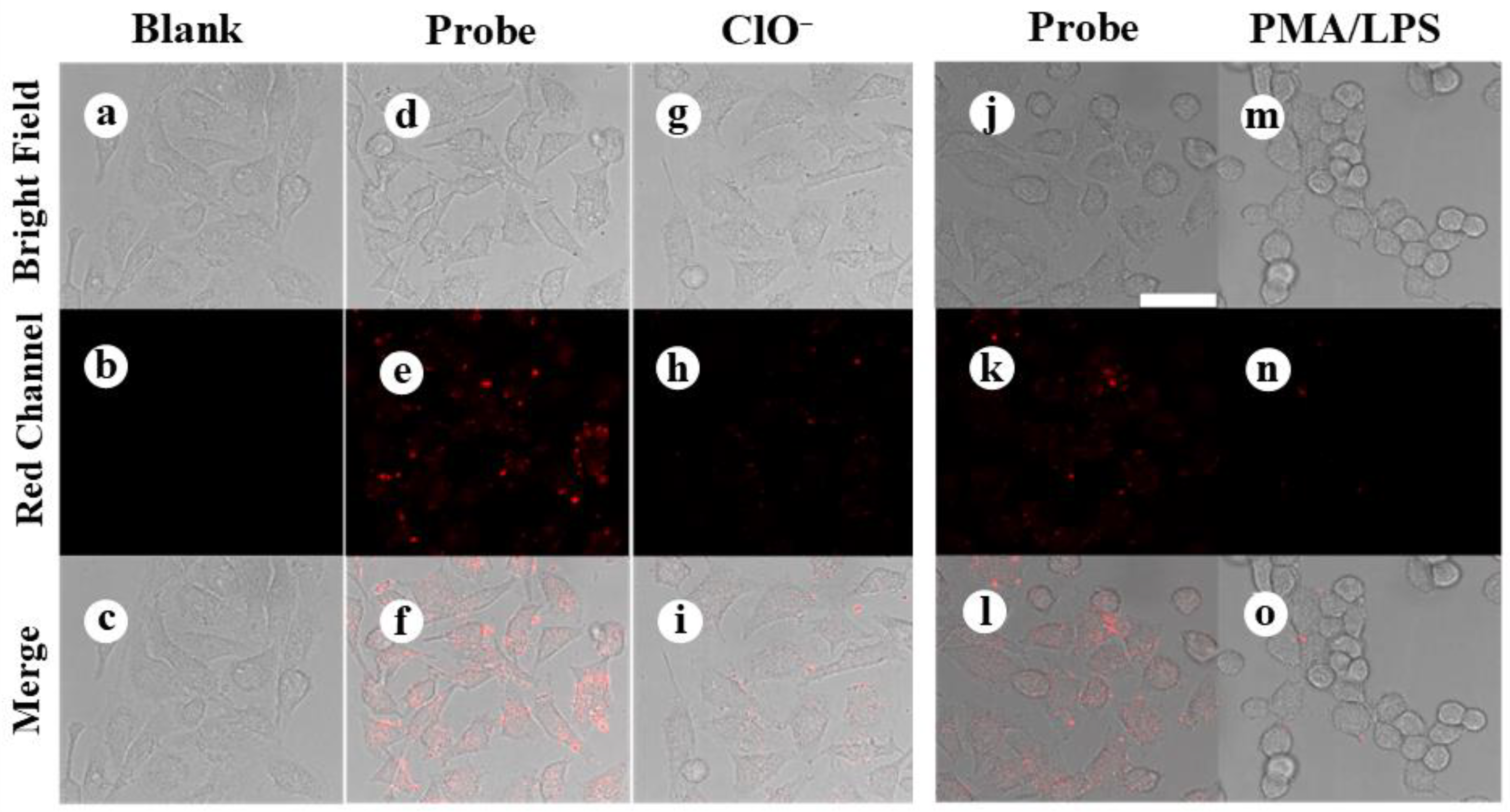 Chemosensors 12 00166 g005