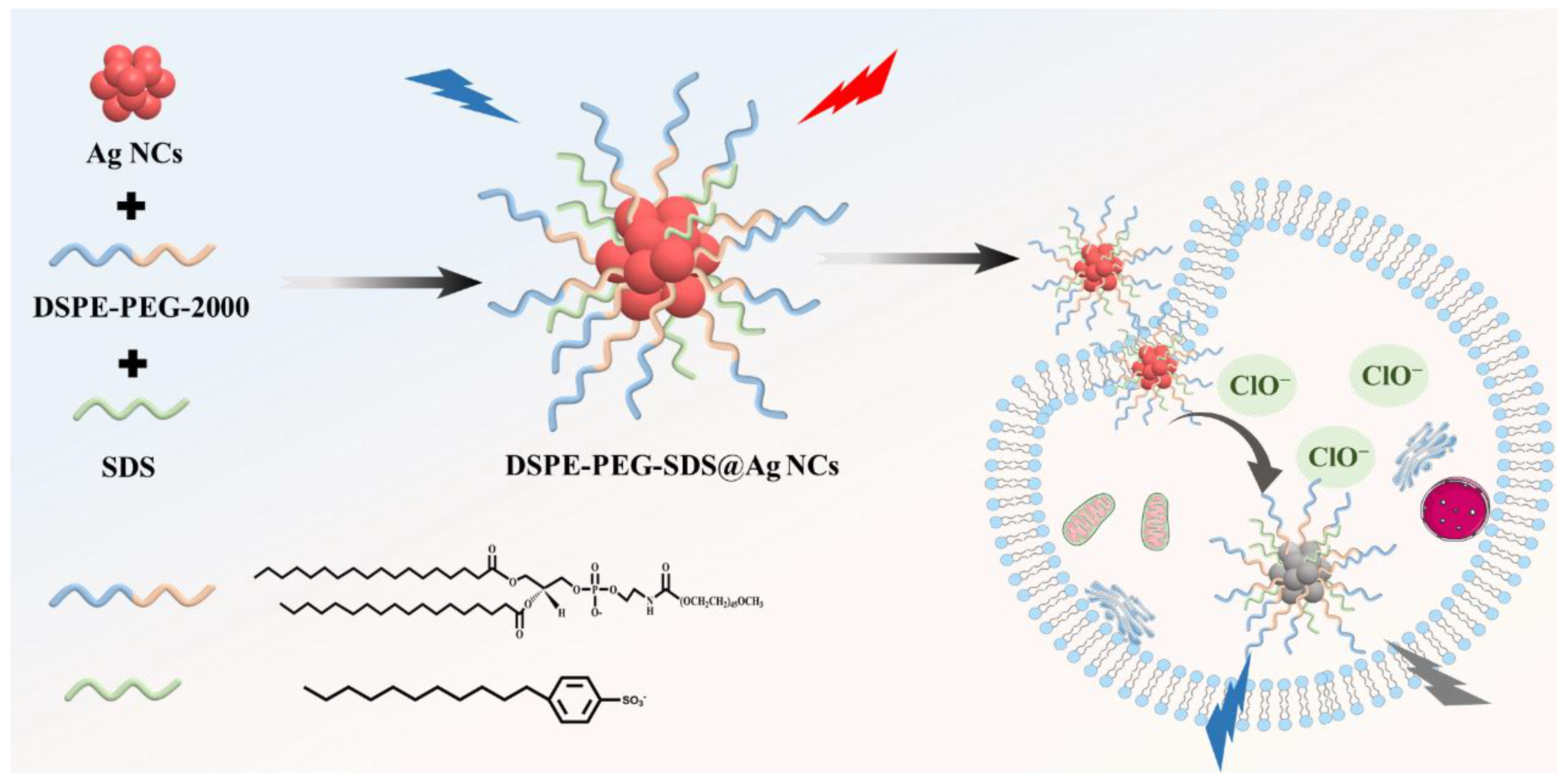 Chemosensors 12 00166 sch001