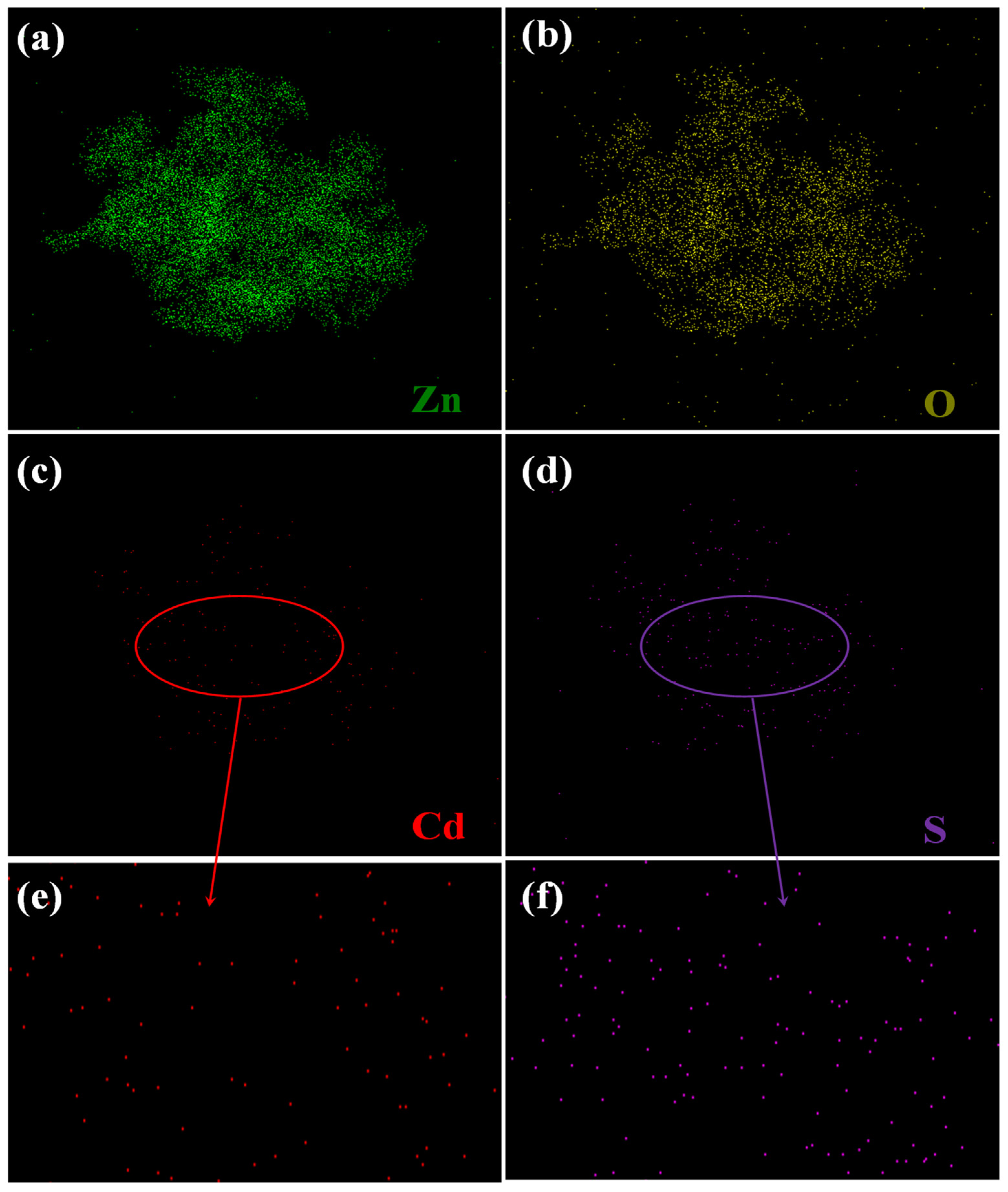Chemosensors 12 00169 g005