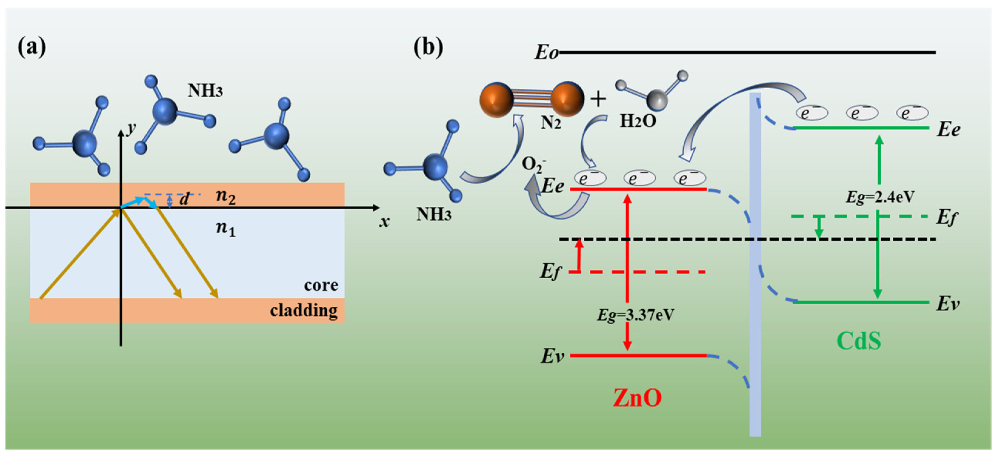 Chemosensors 12 00169 g011