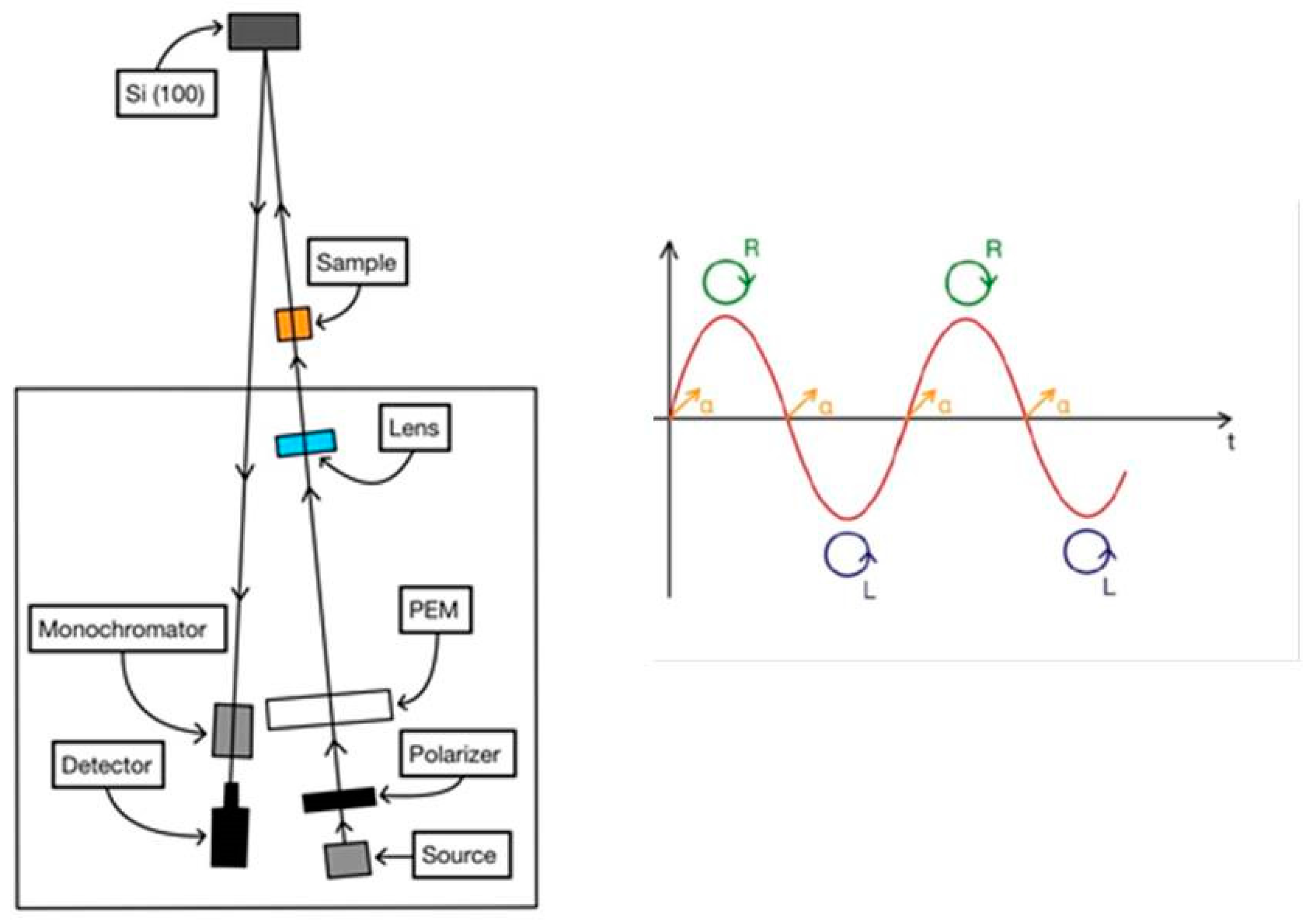 Chemosensors 12 00170 g001