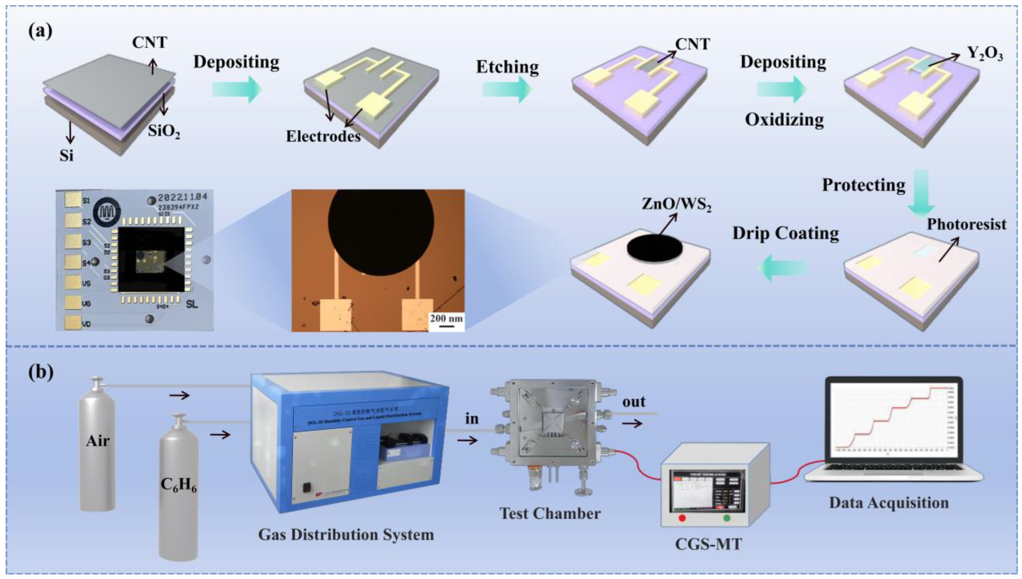 Chemosensors 12 00179 g001