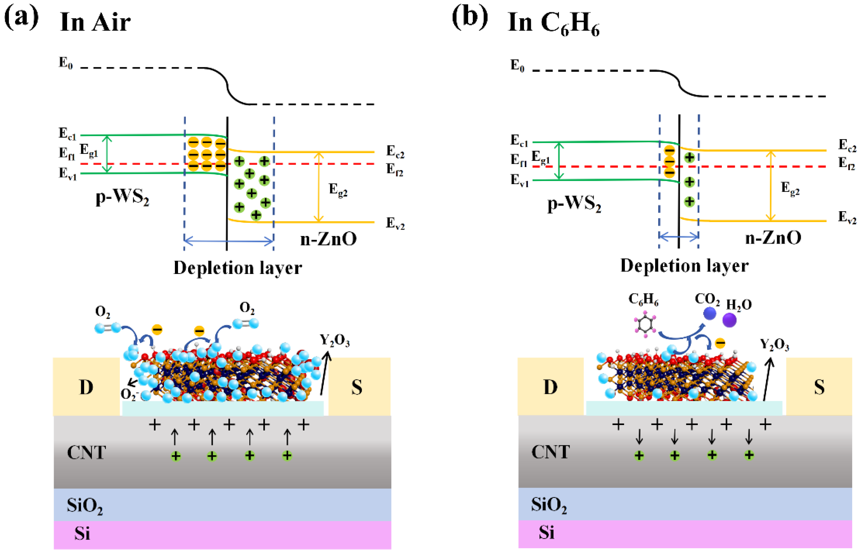 Chemosensors 12 00179 g006