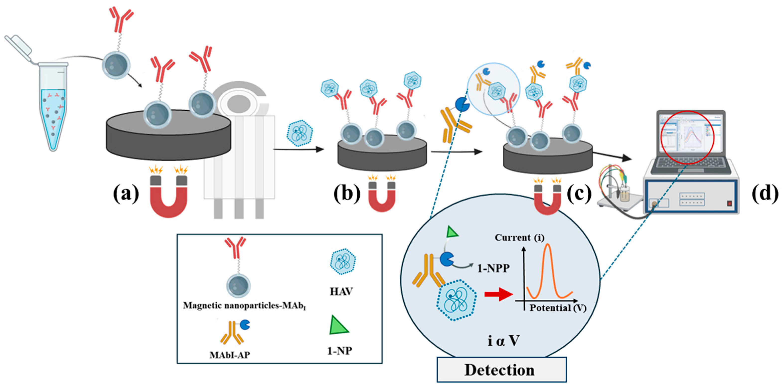 Chemosensors 12 00188 g003