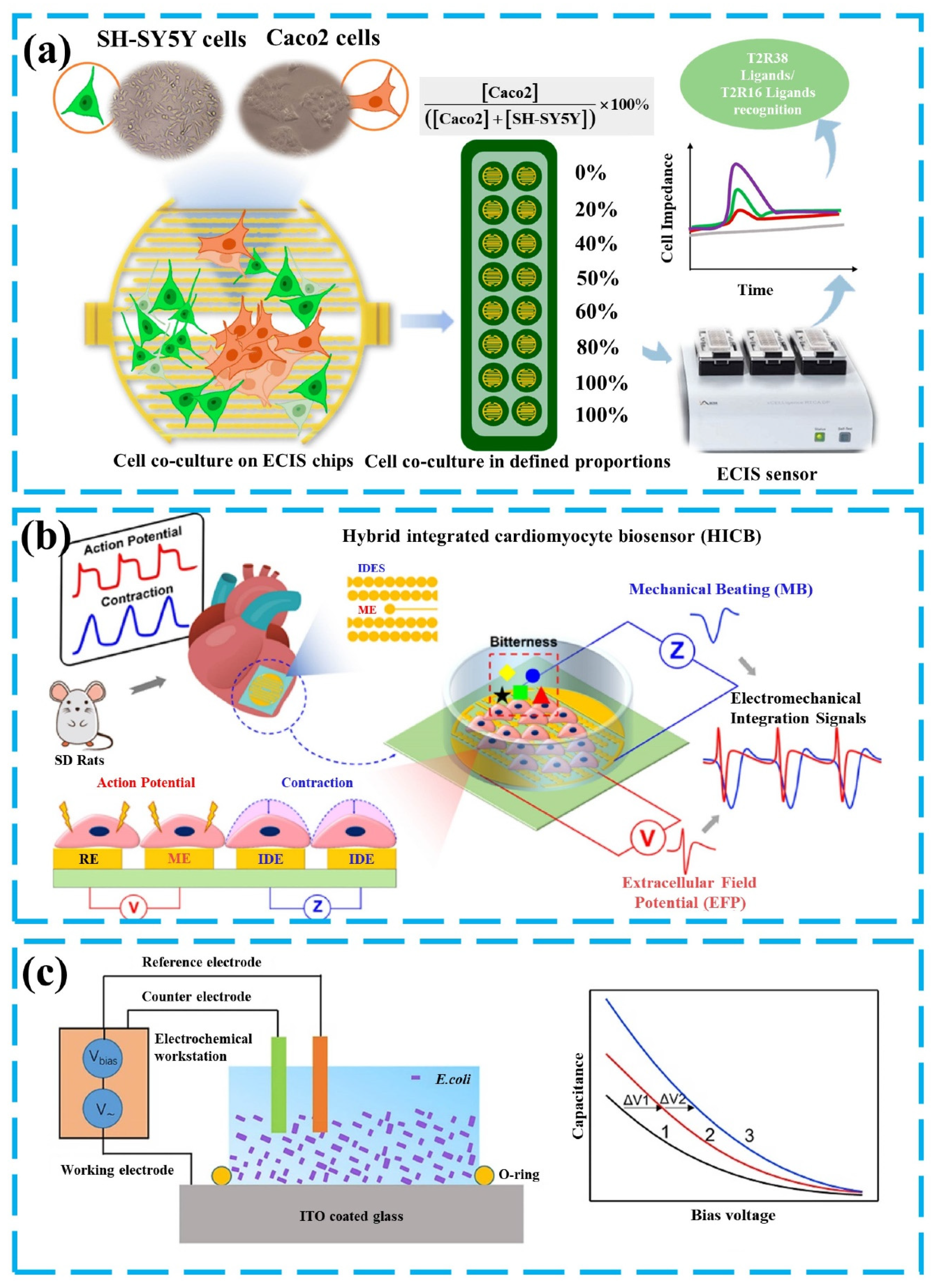Chemosensors 12 00189 g006