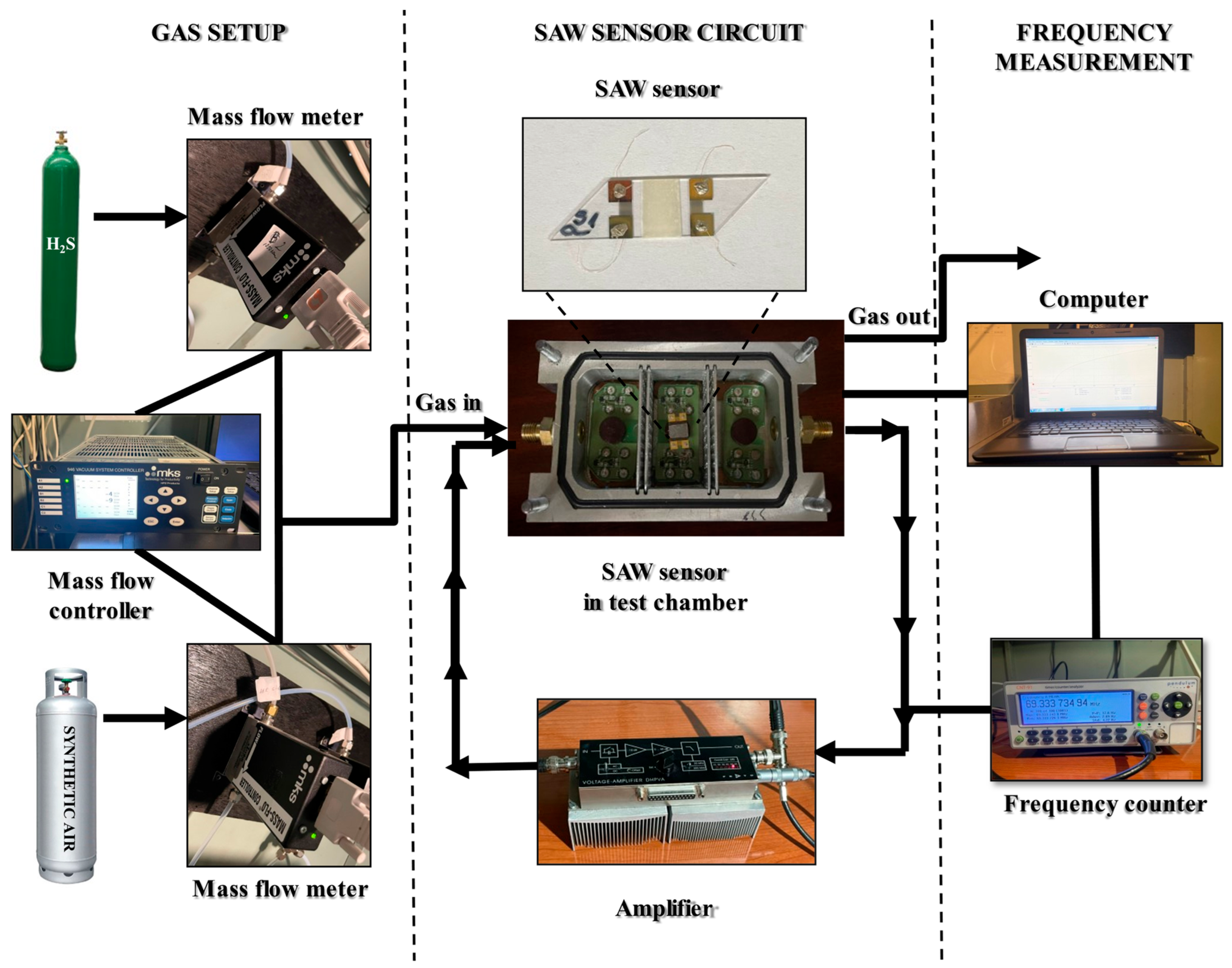 Chemosensors 12 00194 g001