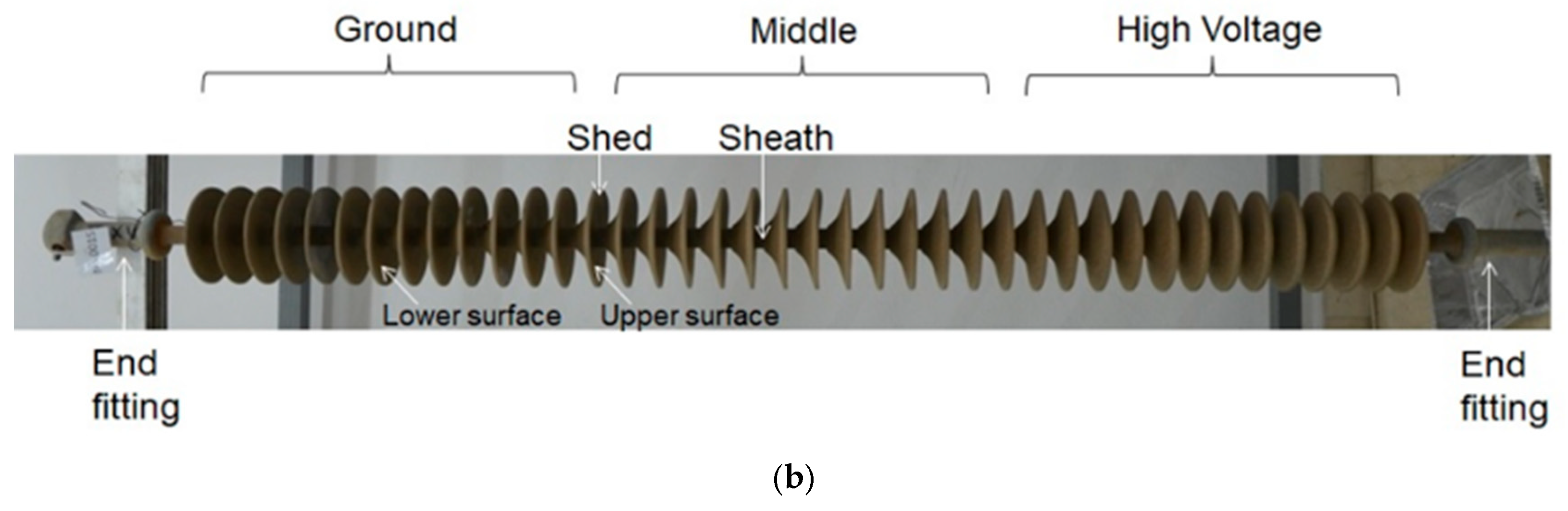 Chemosensors 12 00204 g001b