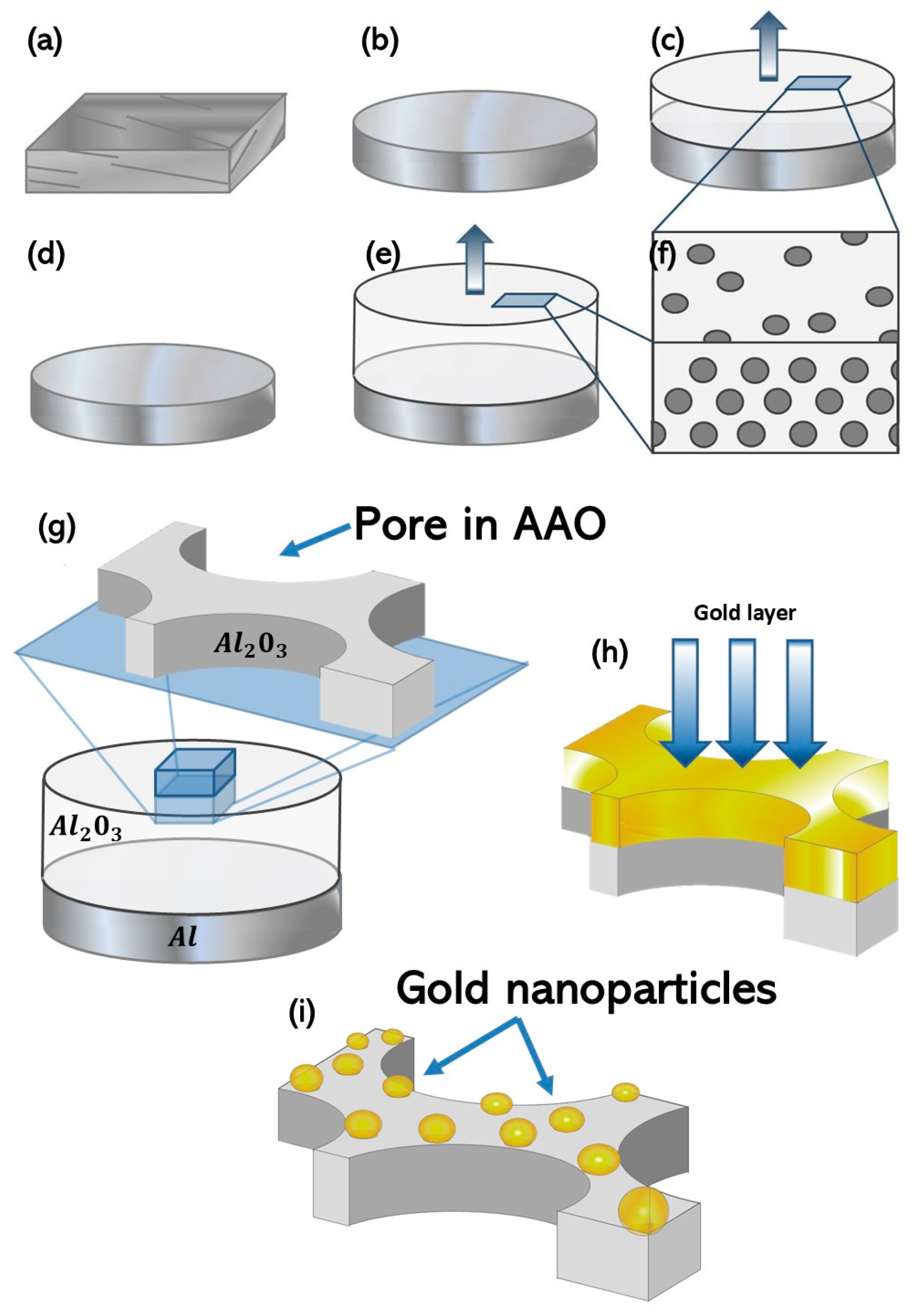 Chemosensors 12 00212 g001
