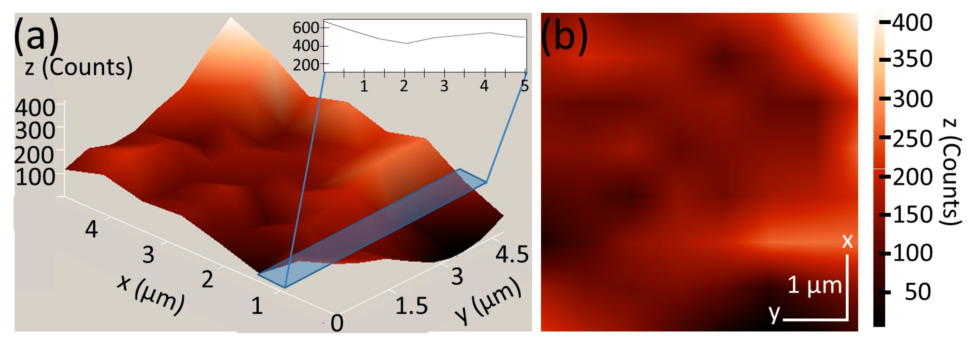 Chemosensors 12 00212 g007