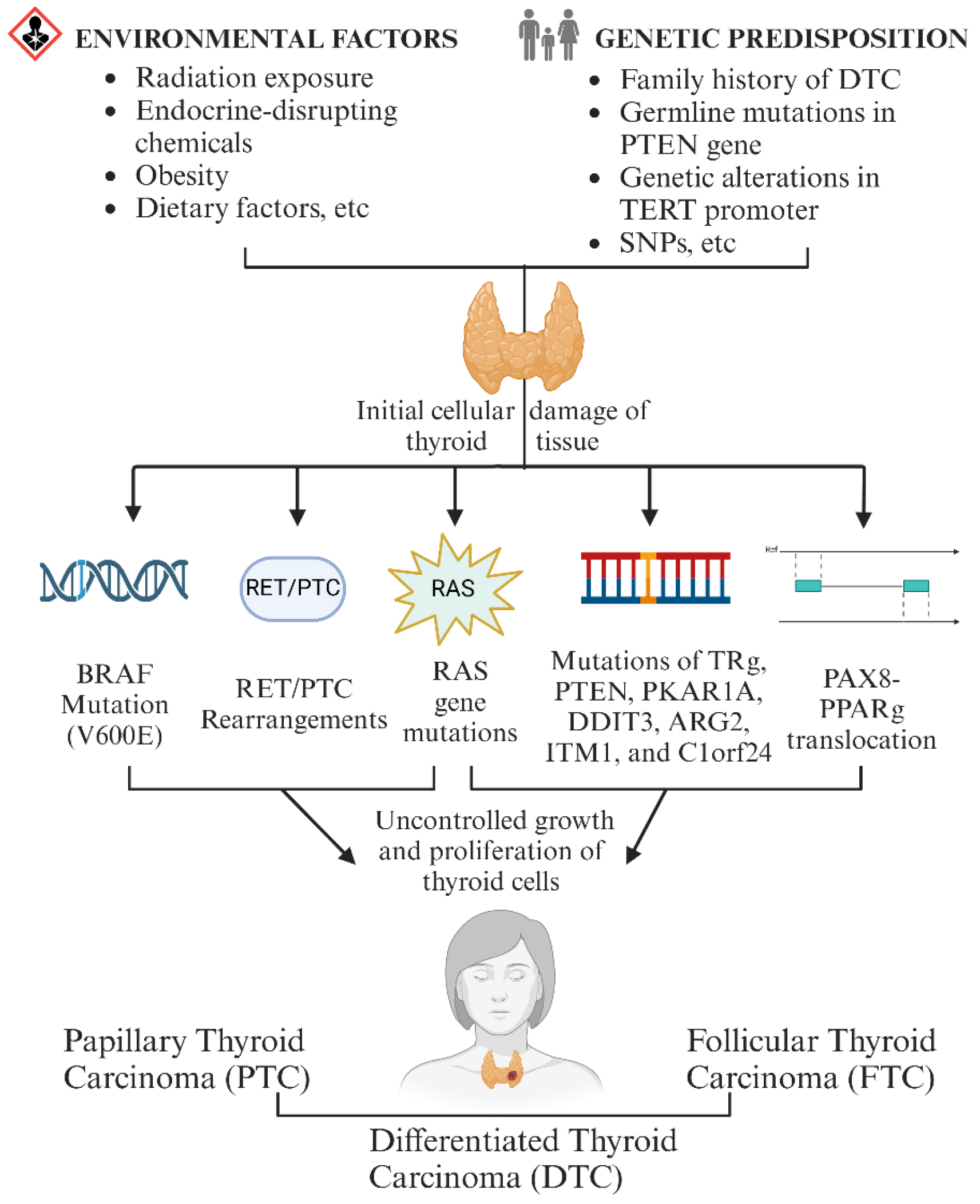 Chemosensors 12 00229 g001 Chemosensors 12 00229 g001