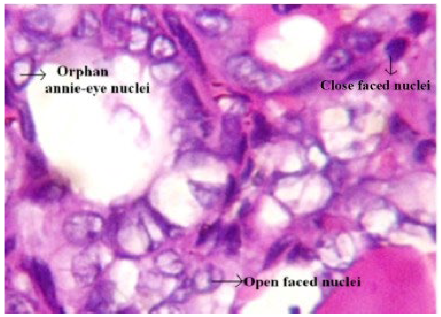 Chemosensors 12 00229 g006 Chemosensors 12 00229 g006