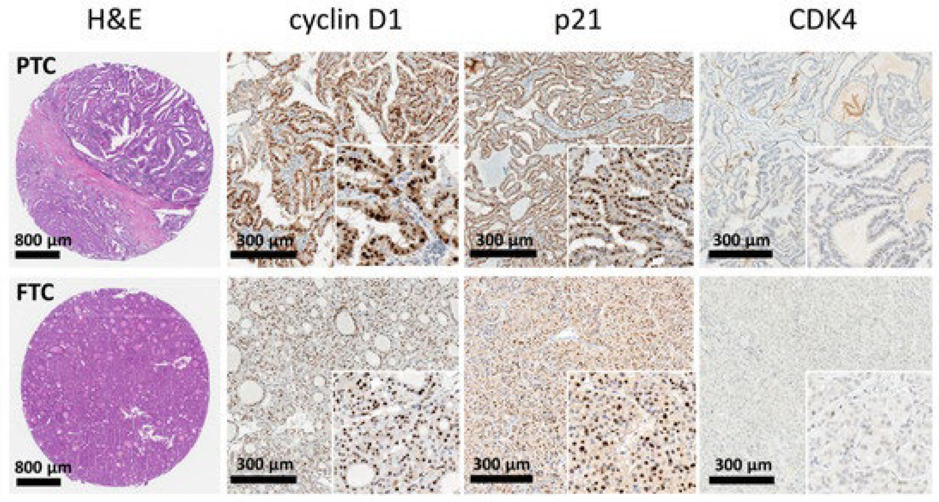Chemosensors 12 00229 g012 Chemosensors 12 00229 g012