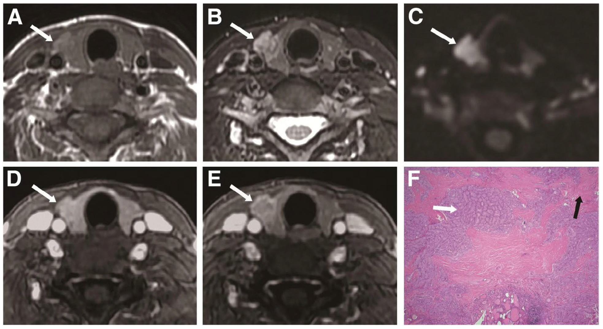 Chemosensors 12 00229 g015 Chemosensors 12 00229 g015