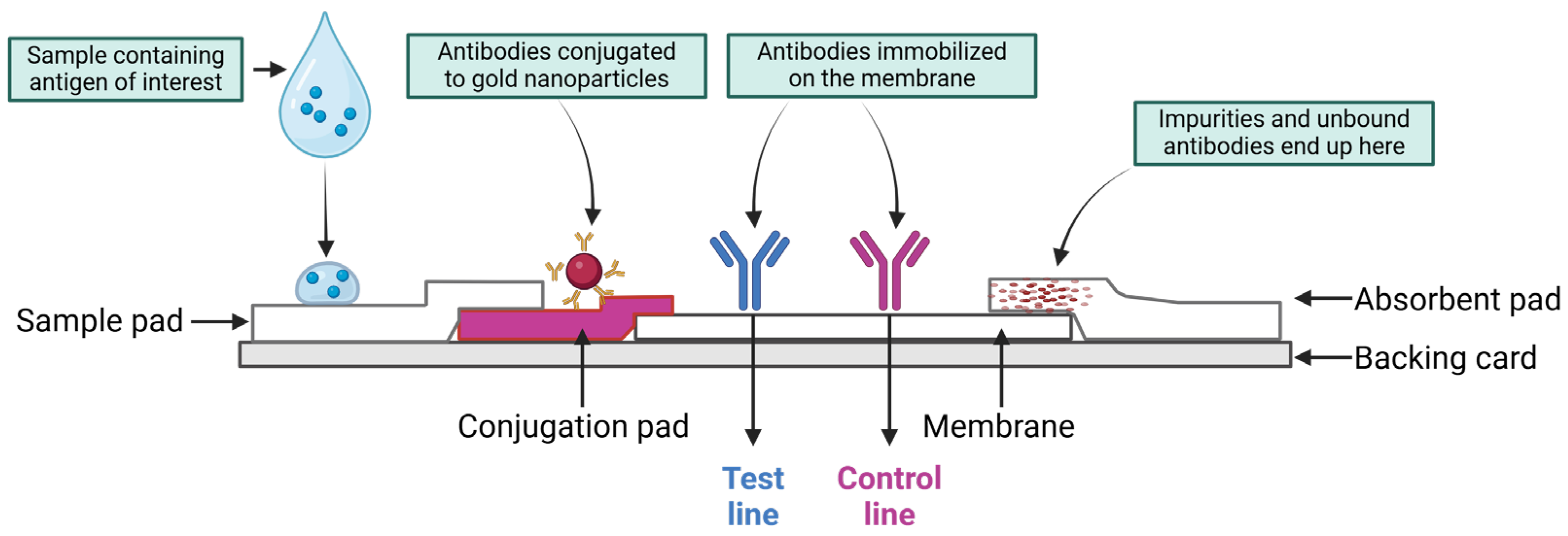 Chemosensors 12 00229 g016 Chemosensors 12 00229 g016