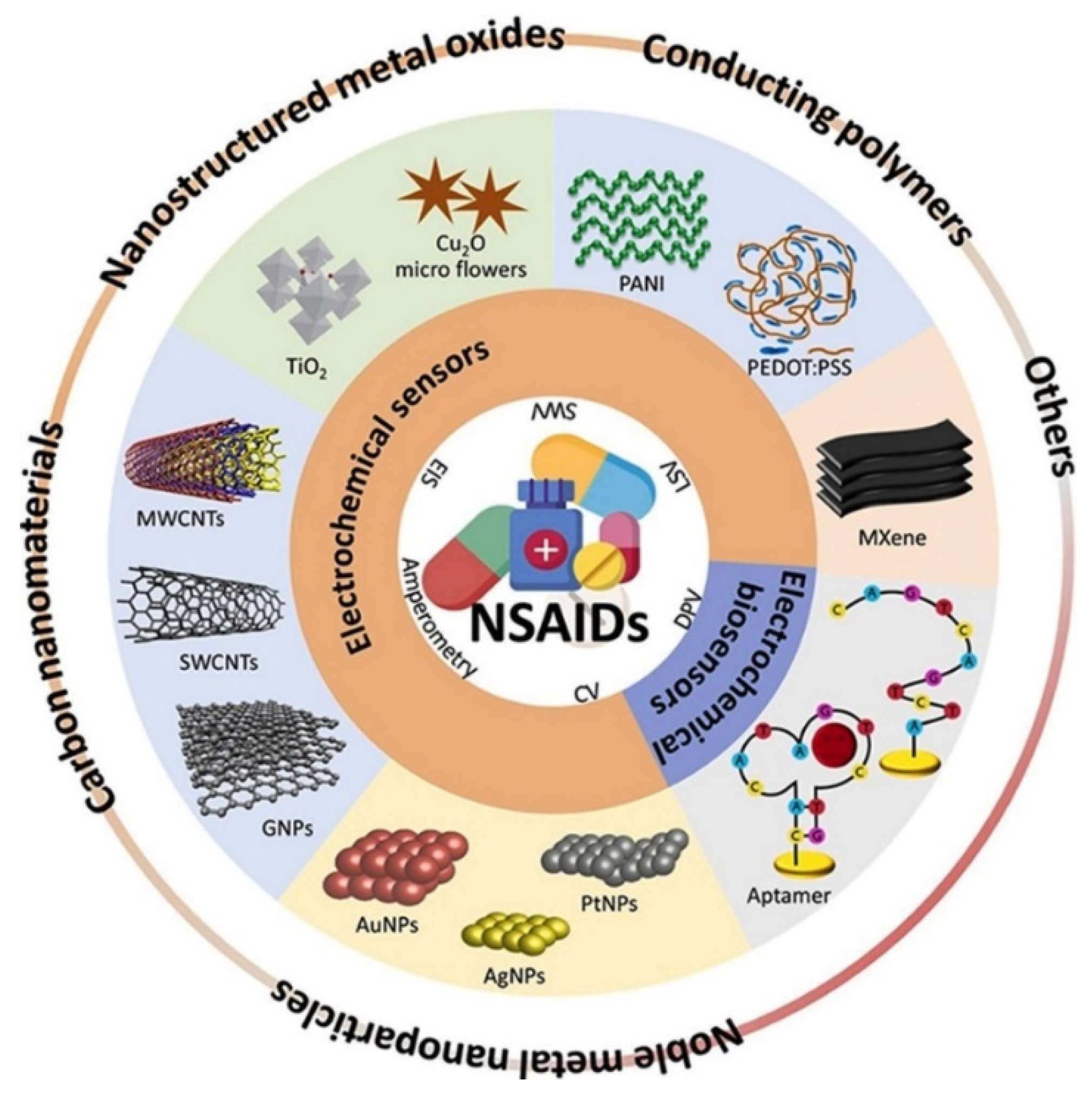 Chemosensors 12 00234 g001