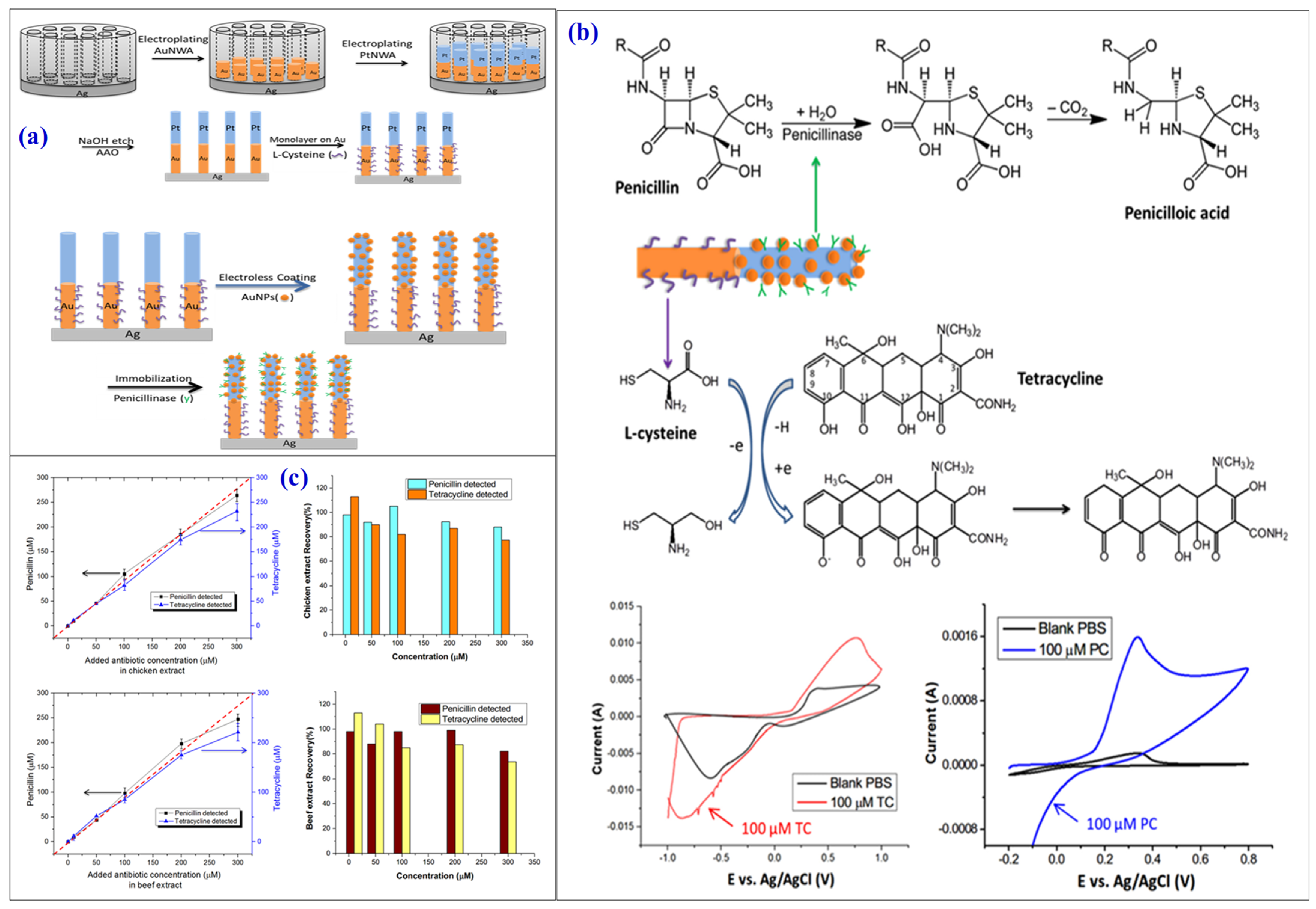 Chemosensors 12 00234 g006