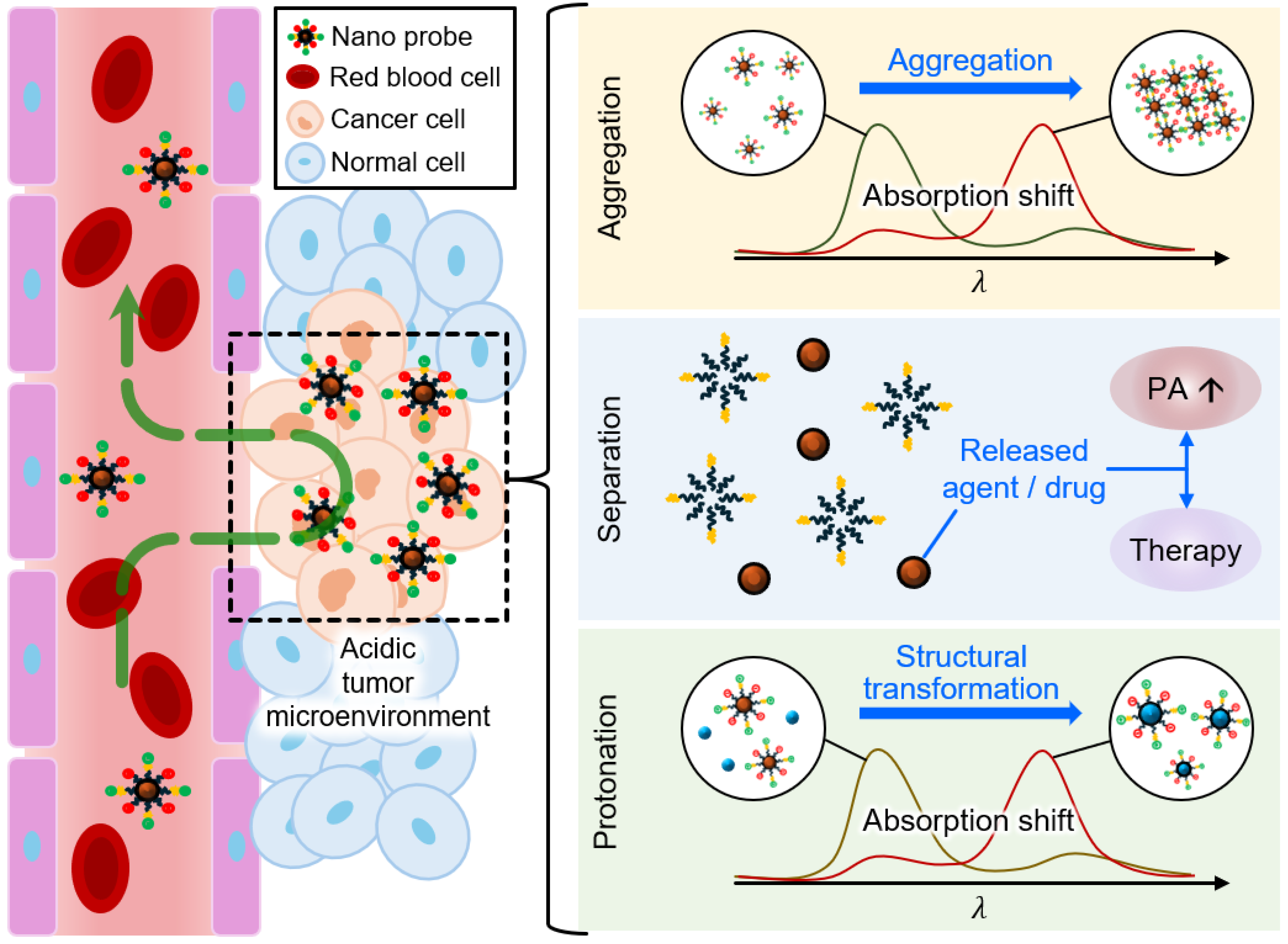 Chemosensors 12 00257 g002