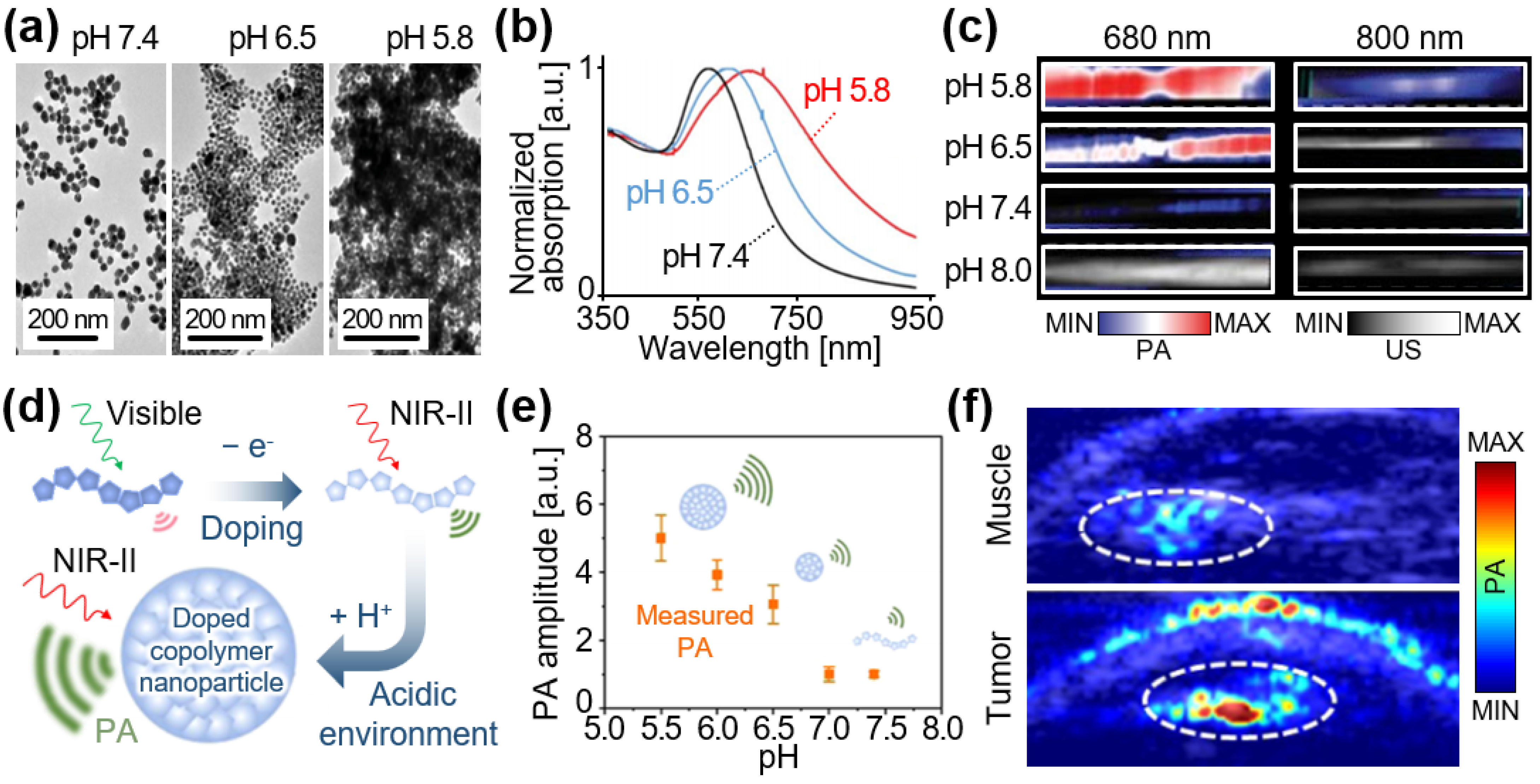 Chemosensors 12 00257 g004