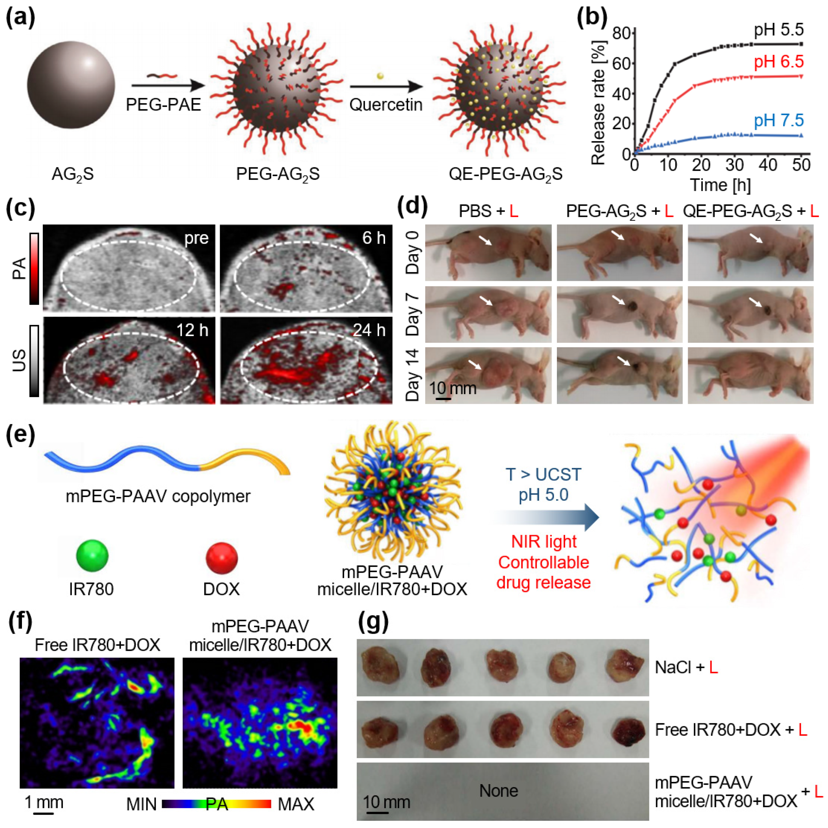 Chemosensors 12 00257 g005