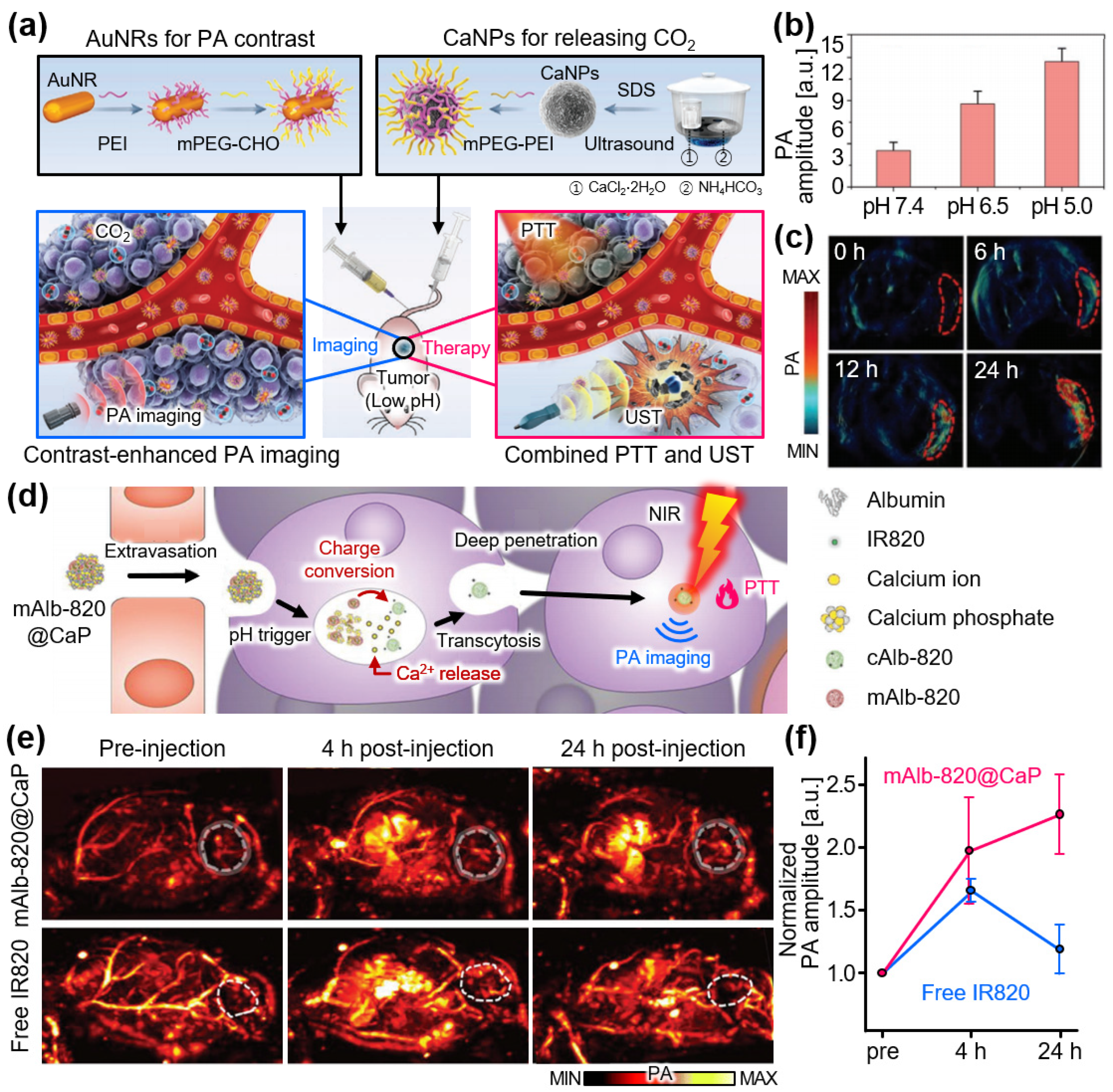 Chemosensors 12 00257 g006