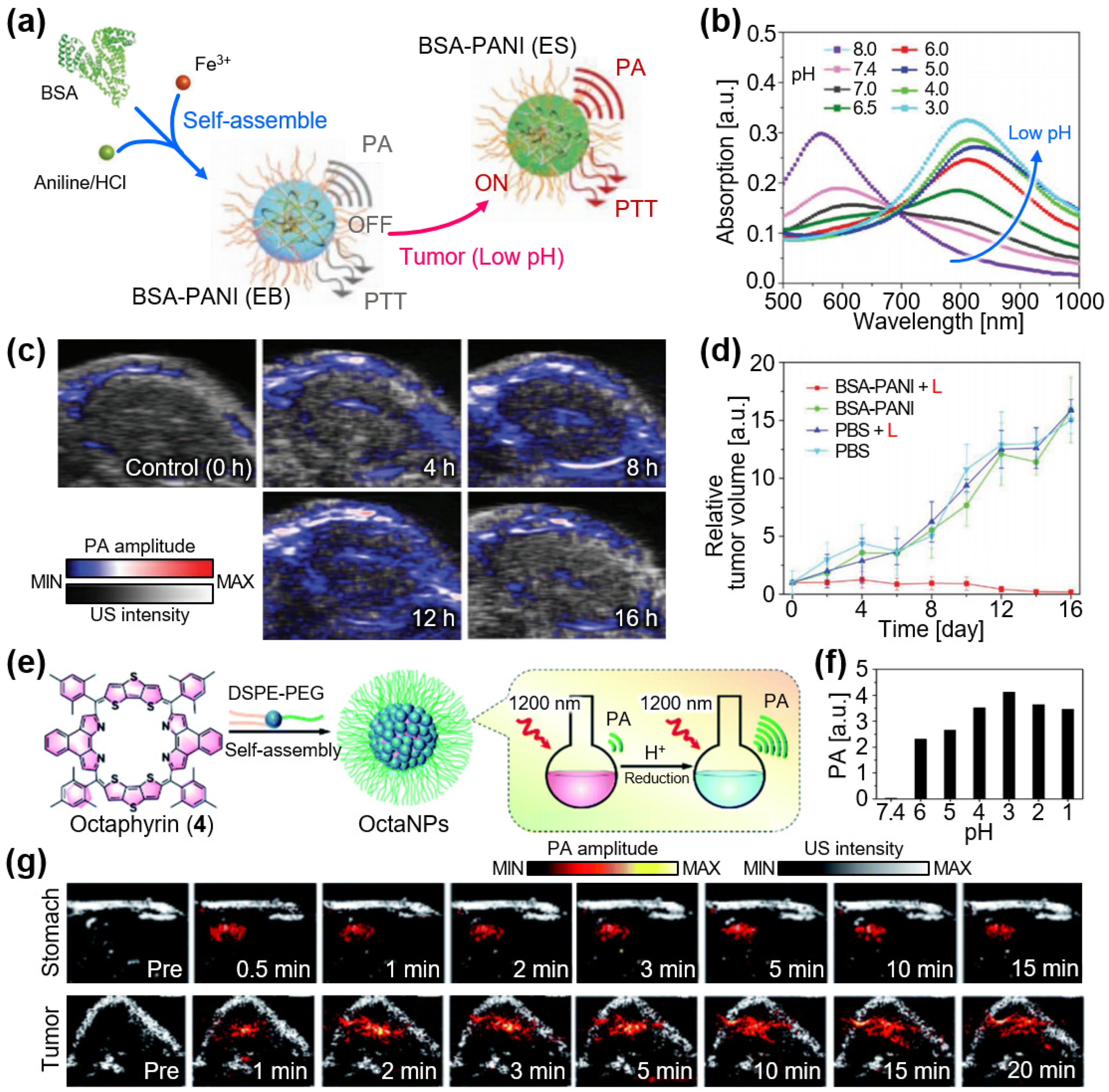 Chemosensors 12 00257 g007