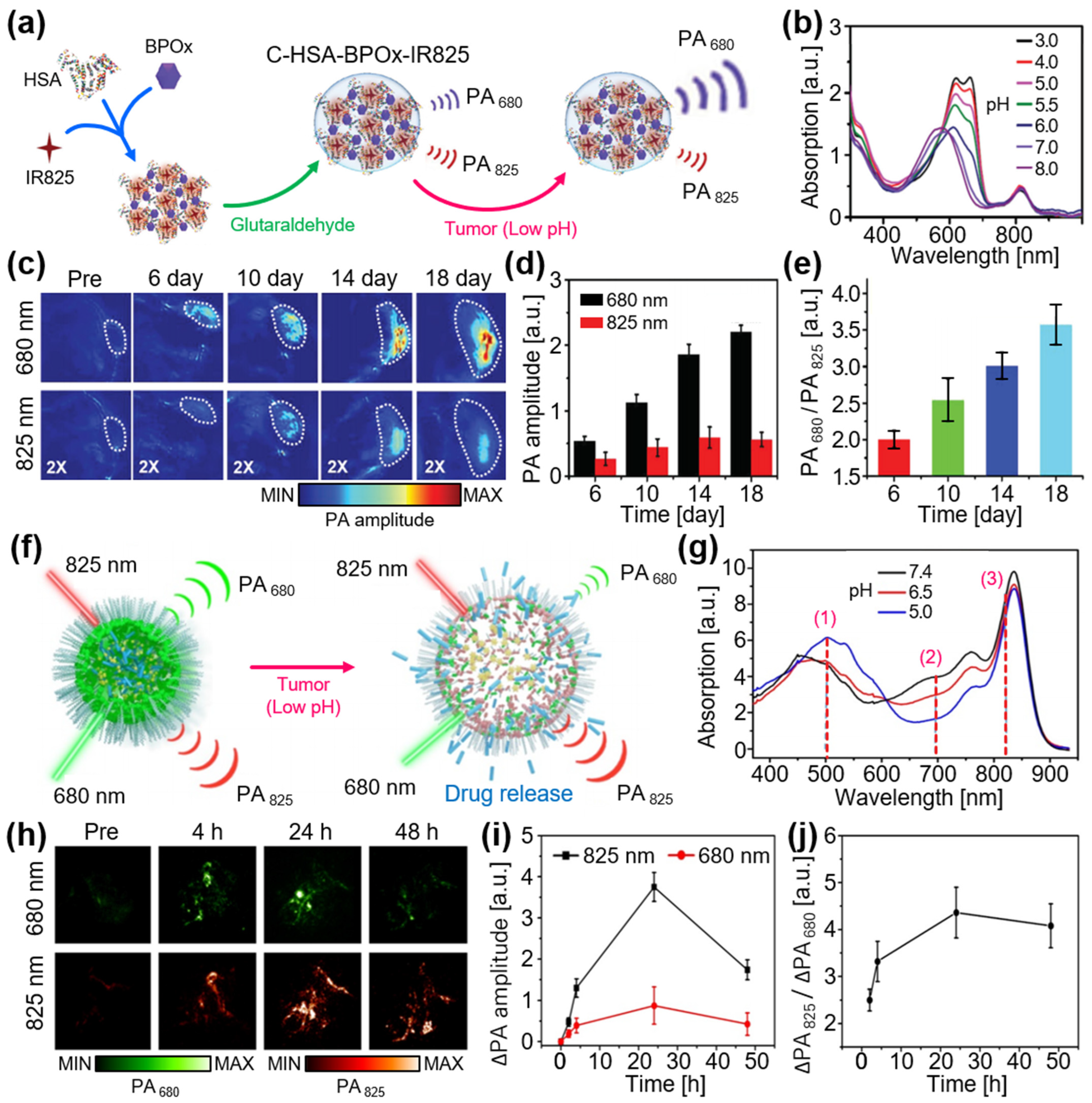 Chemosensors 12 00257 g008
