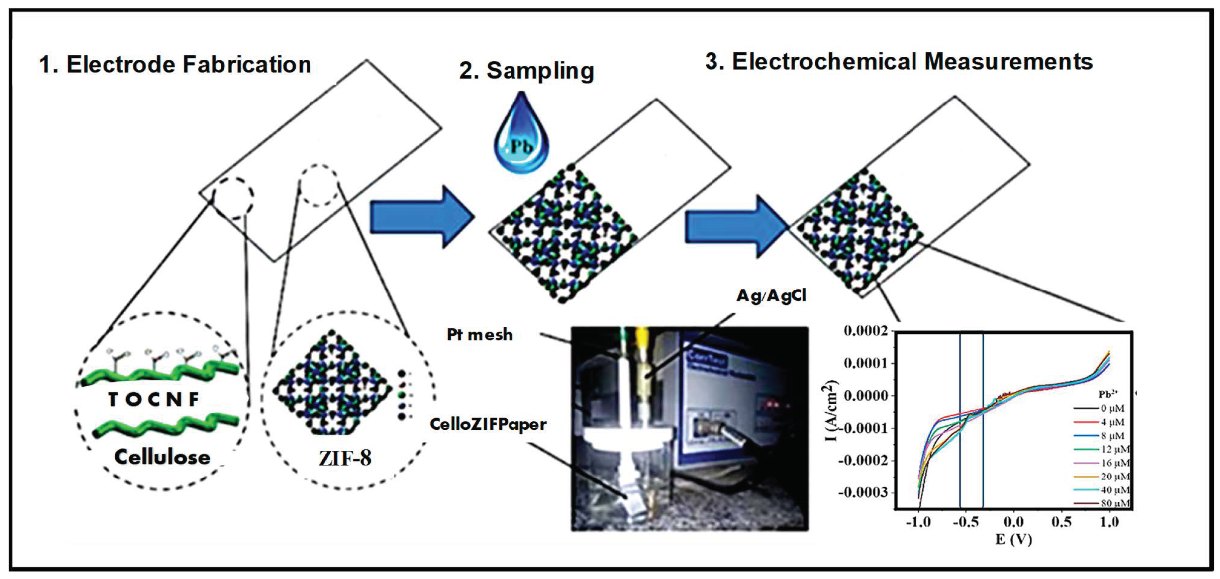 Chemosensors 12 00267 g005 Chemosensors 12 00267 g005