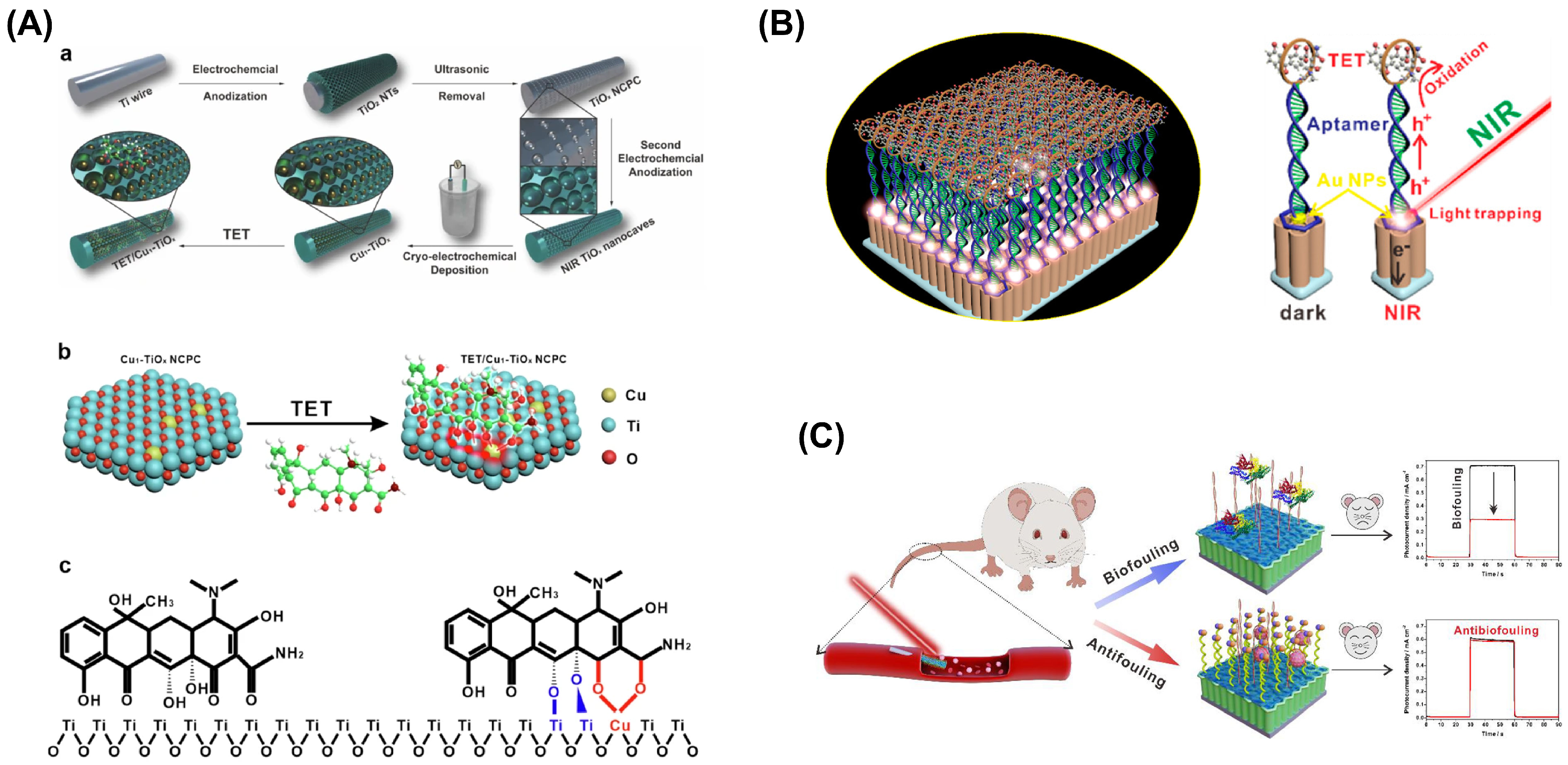 Chemosensors 13 00002 g002