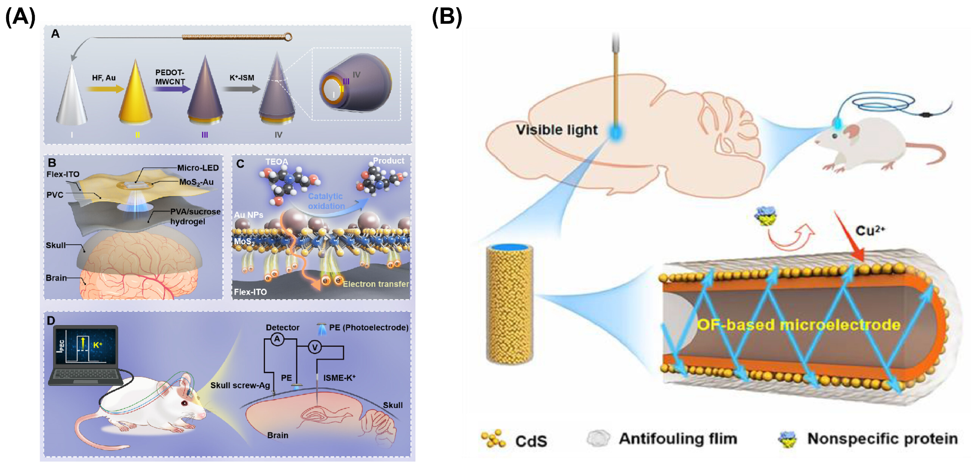 Chemosensors 13 00002 g003