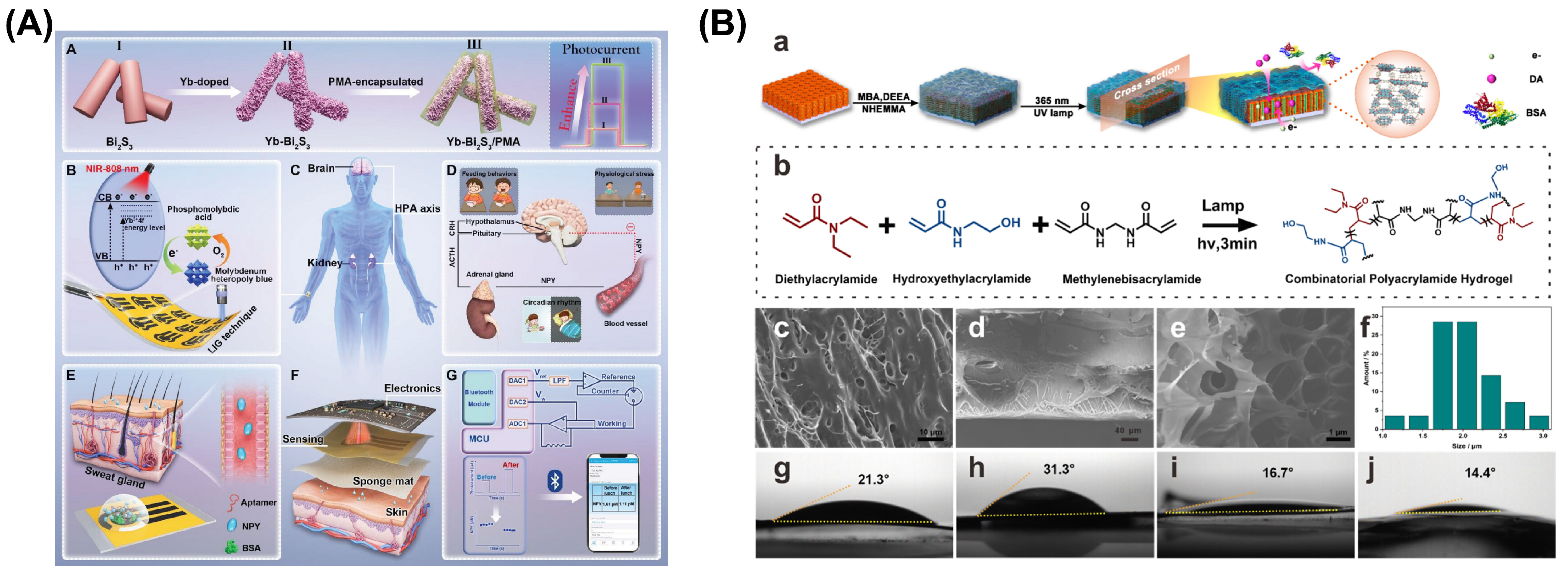 Chemosensors 13 00002 g004