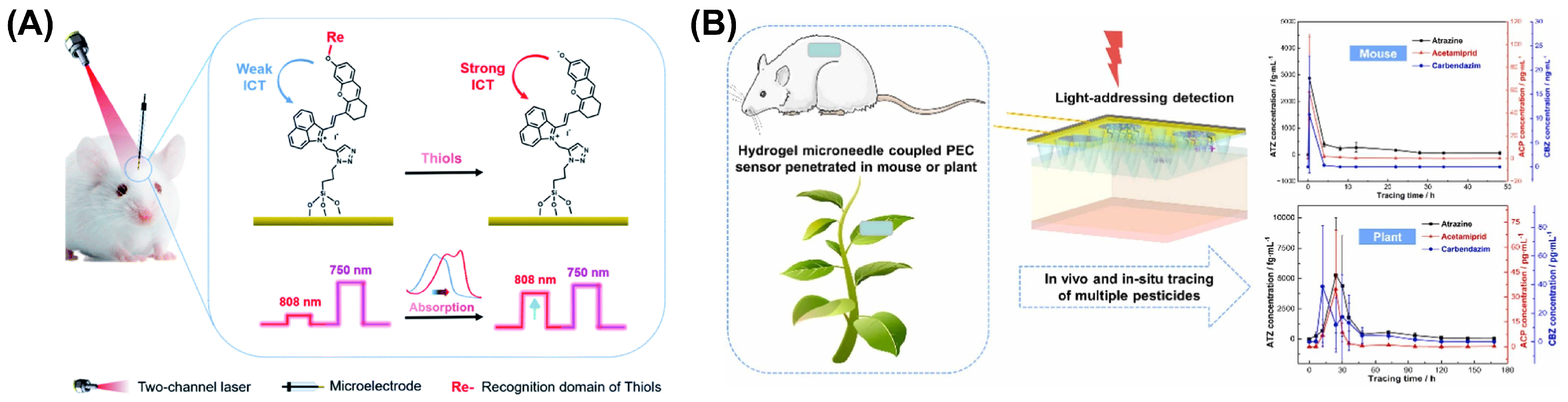 Chemosensors 13 00002 g005