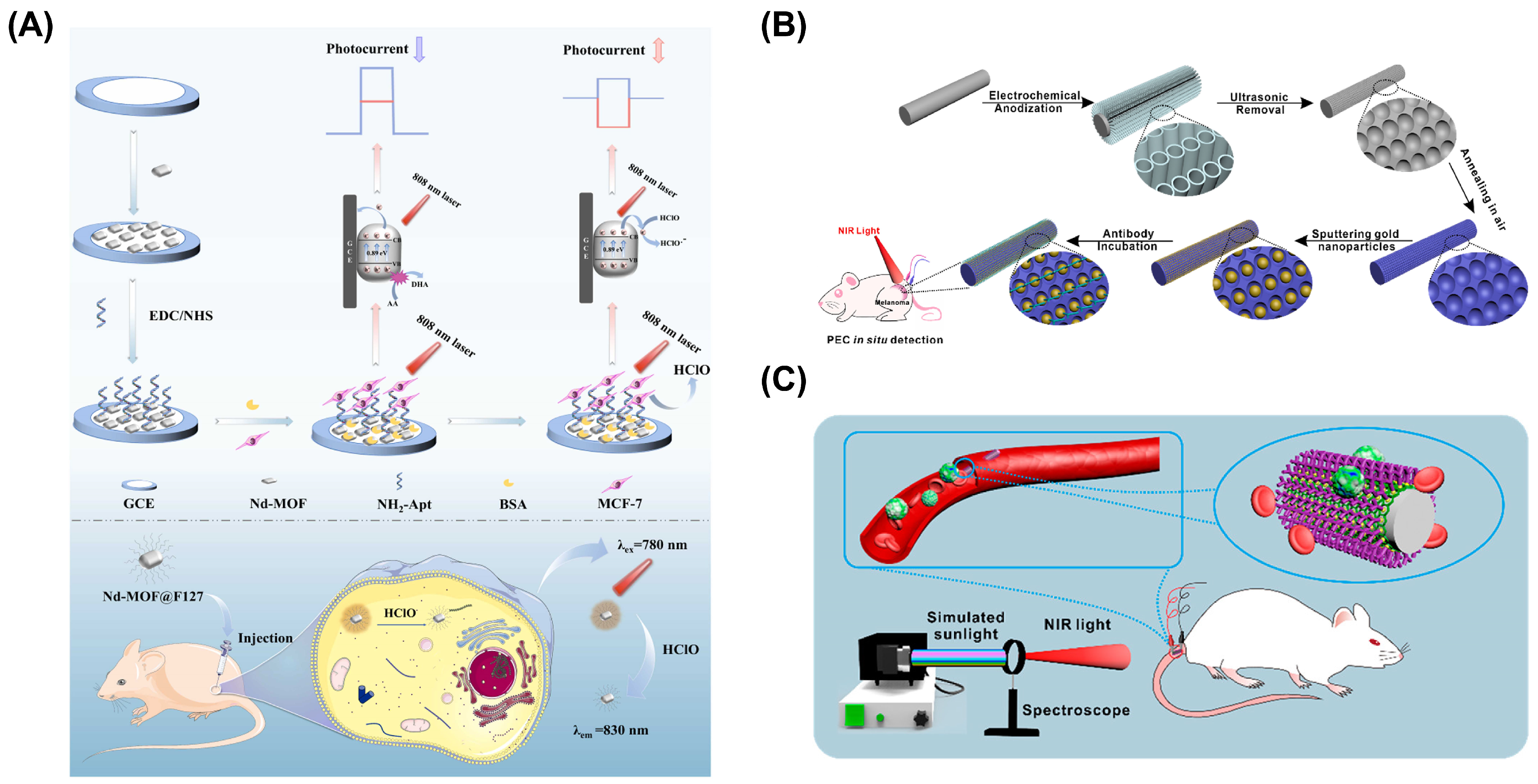 Chemosensors 13 00002 g006