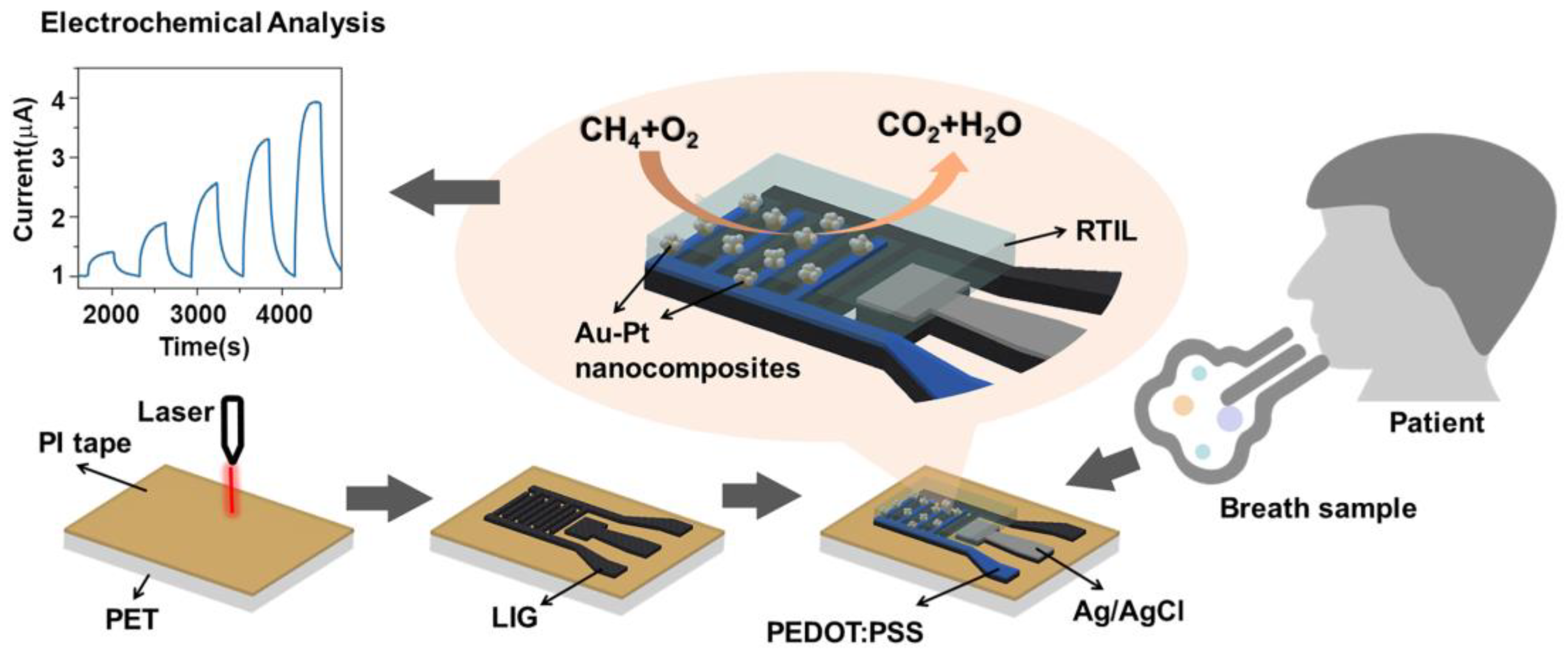 Chemosensors 13 00003 g001 Chemosensors 13 00003 g001