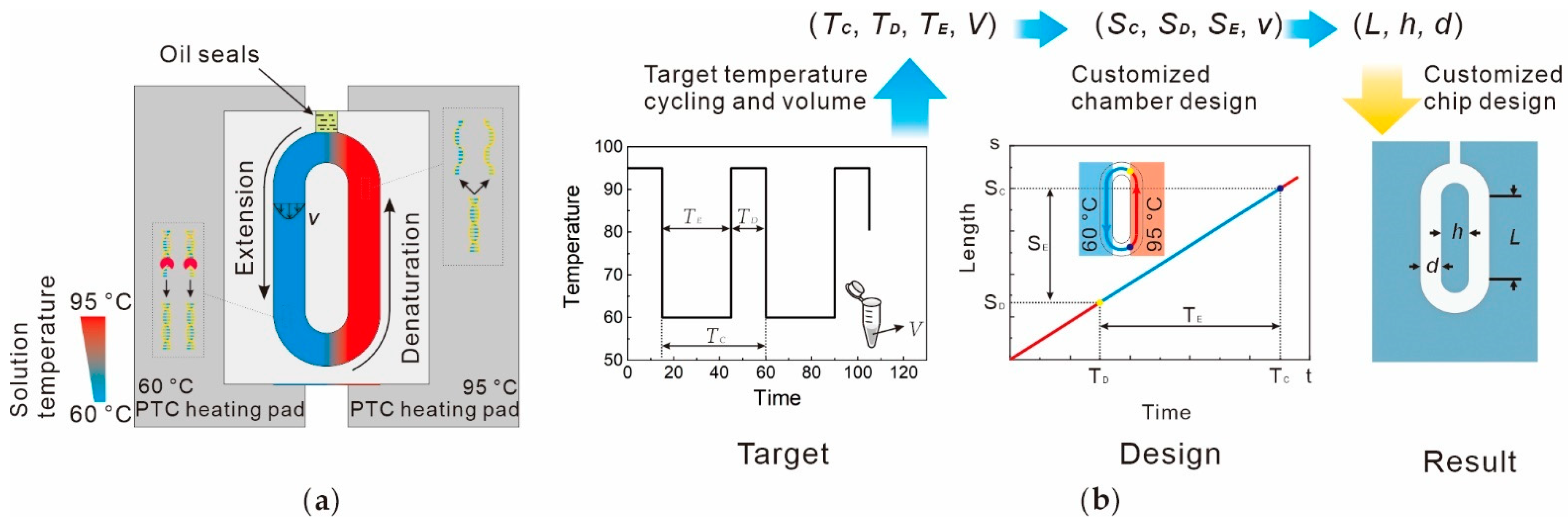 Chemosensors 13 00006 g001