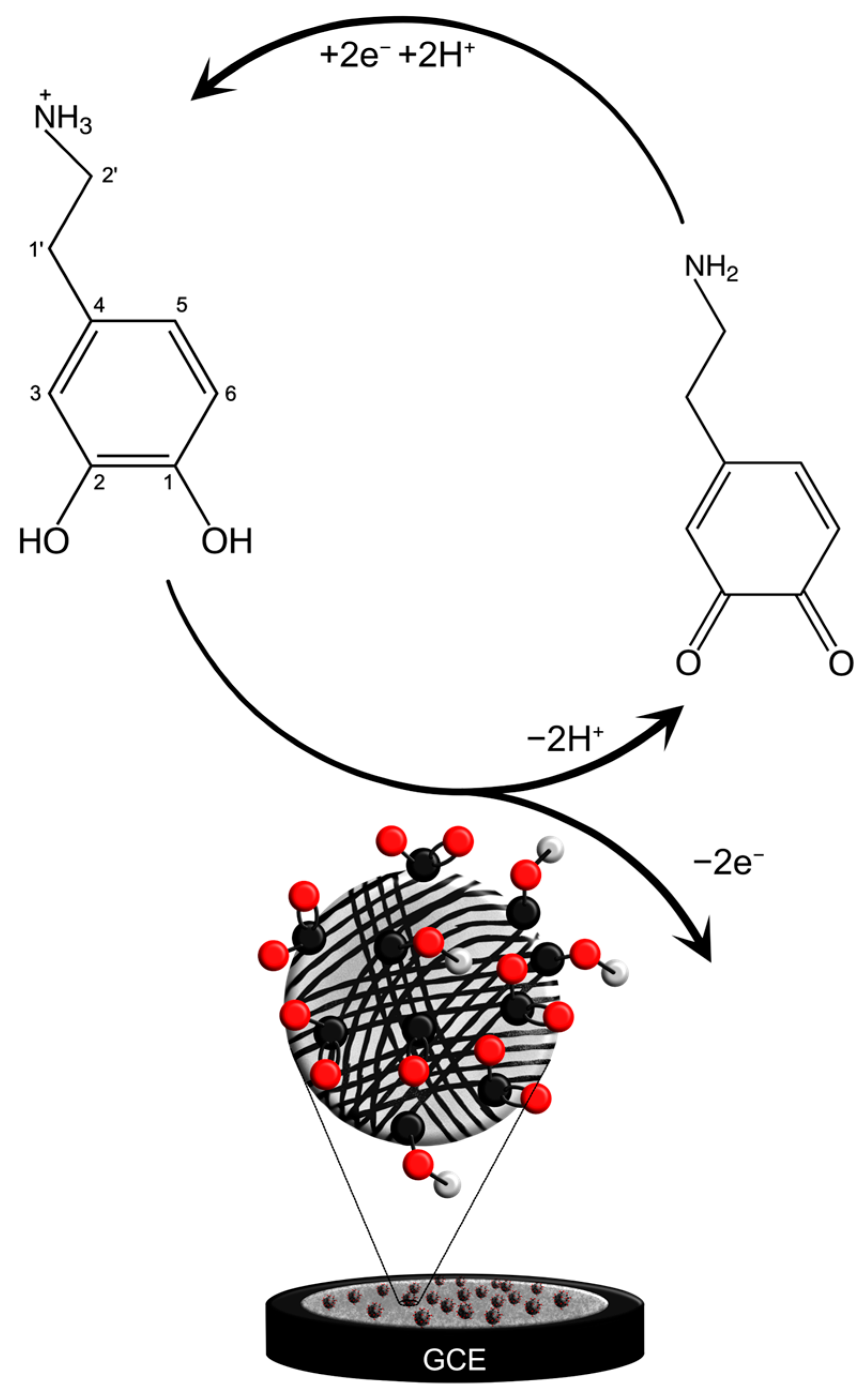Chemosensors 13 00007 g005